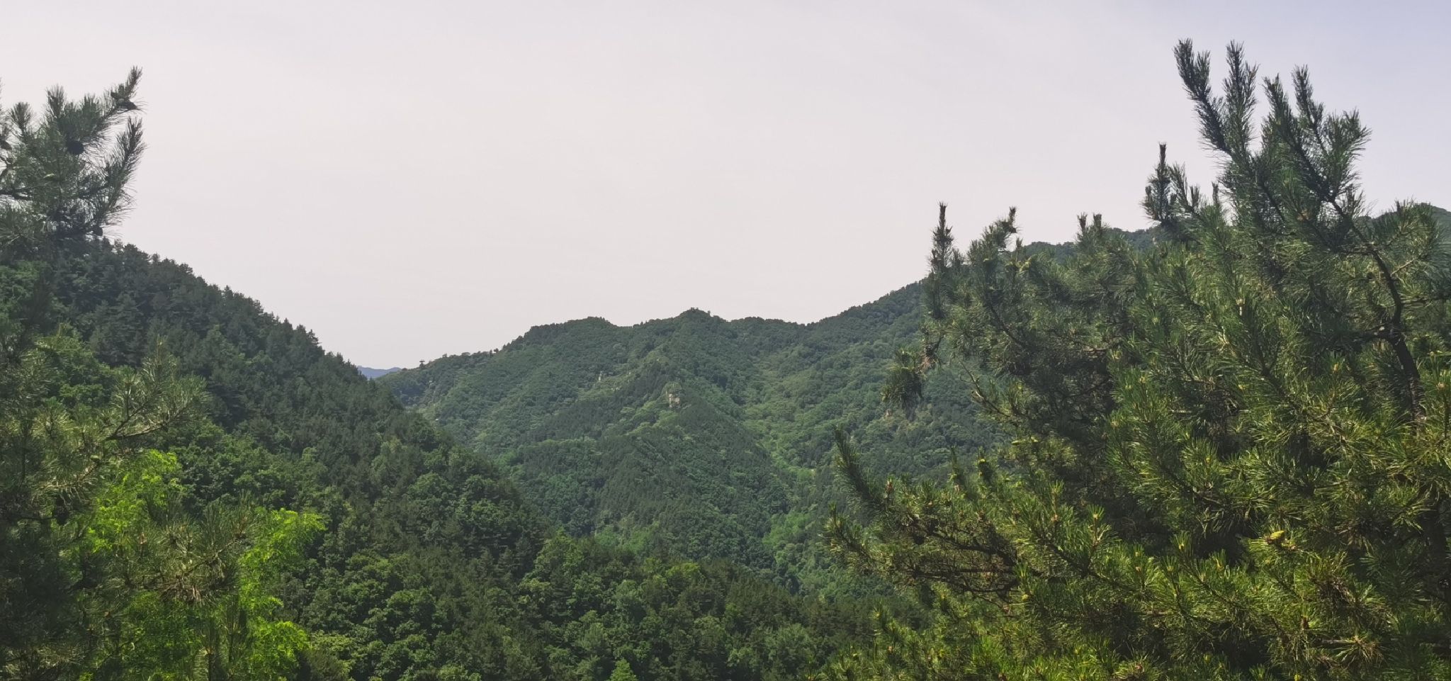 阜平林上清溪康养旅游度假小镇旅行图片