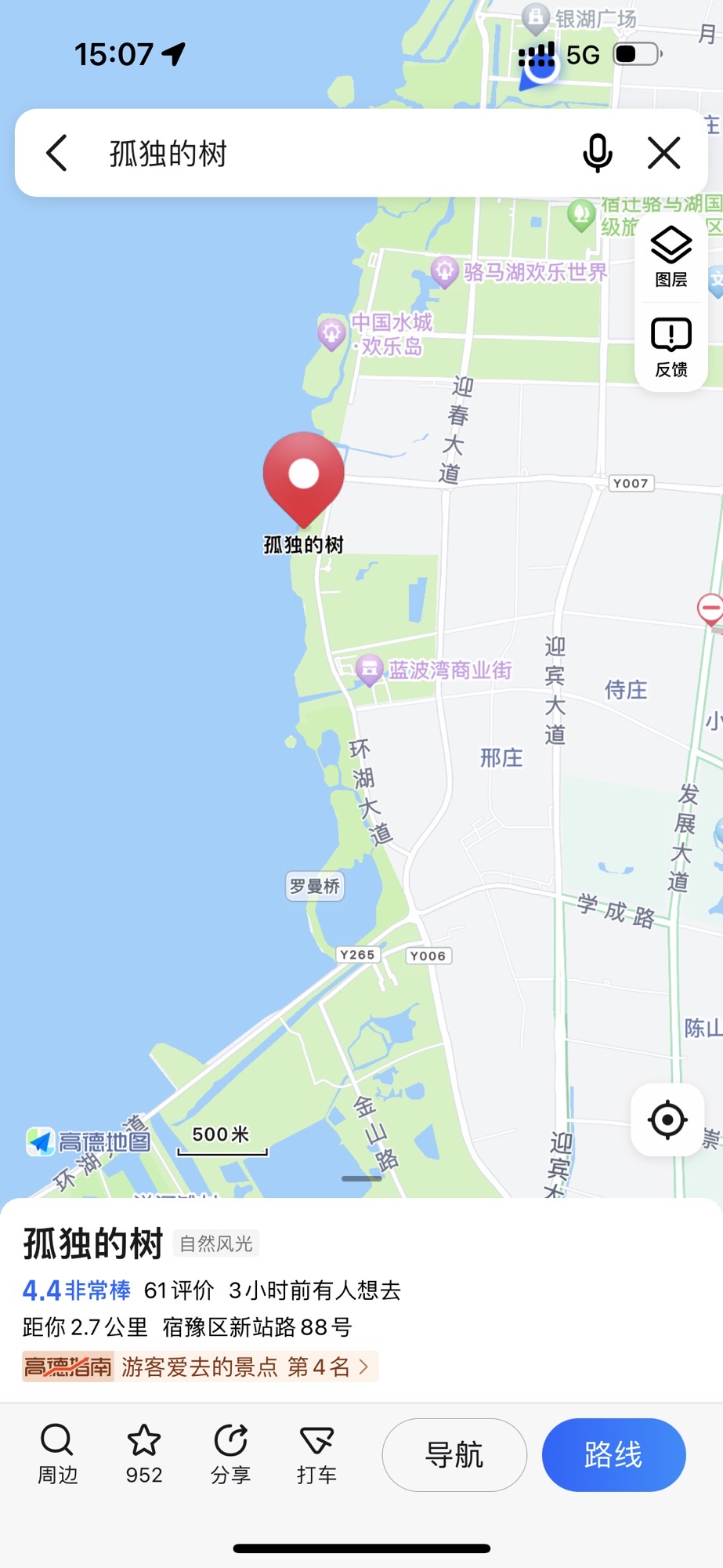 孤独的树