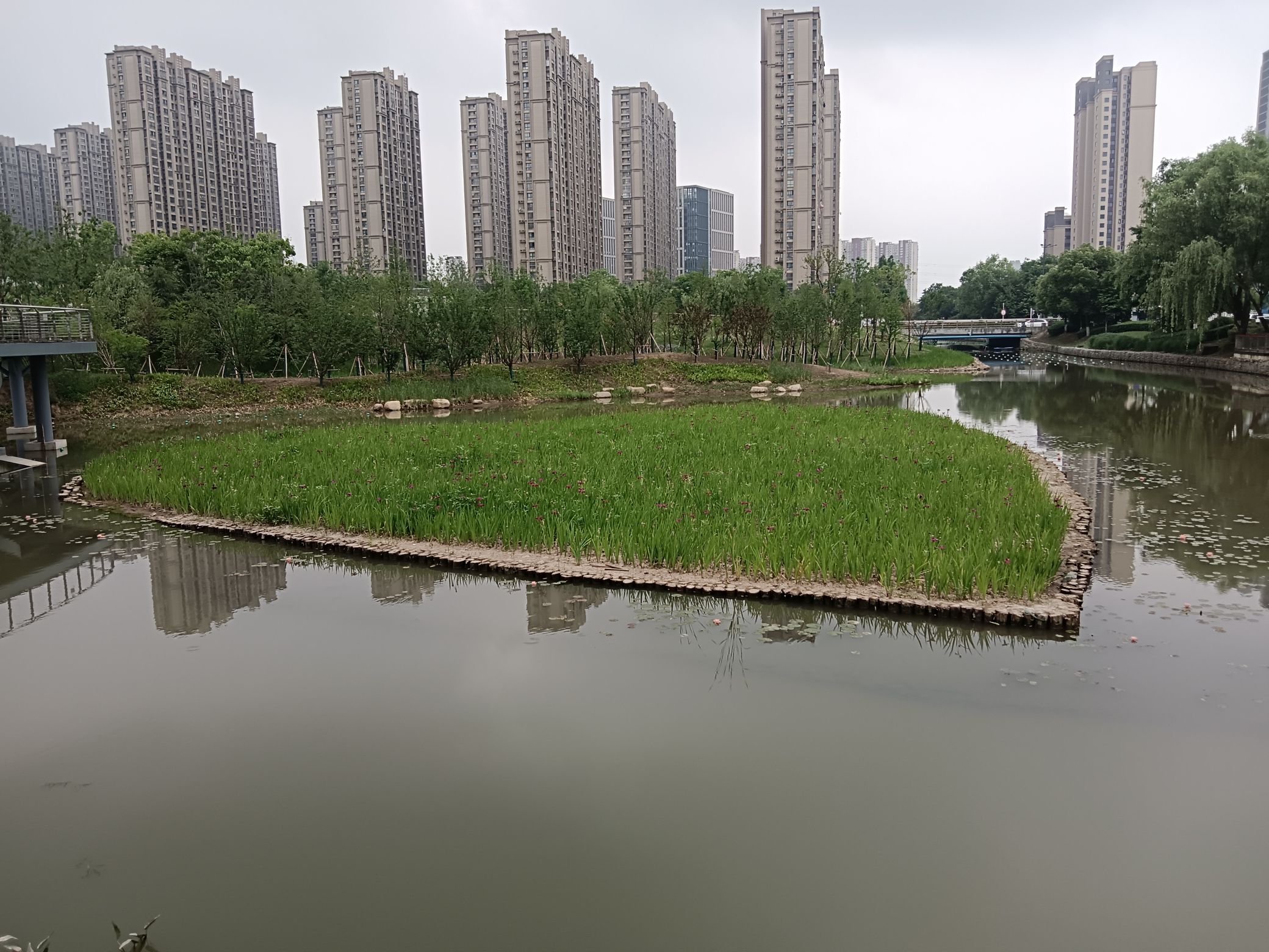 爱情湾生态公园