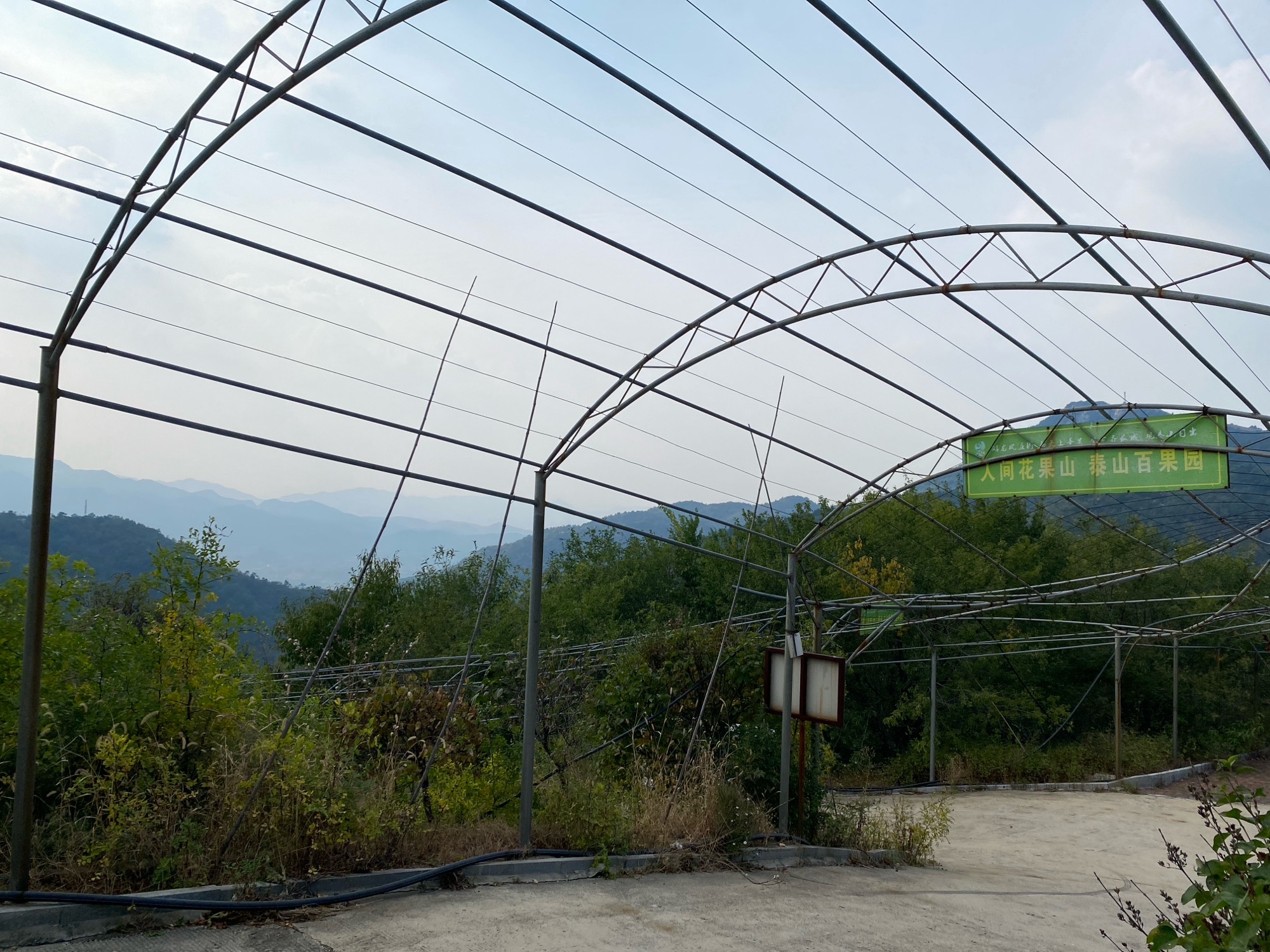 云顶山景区