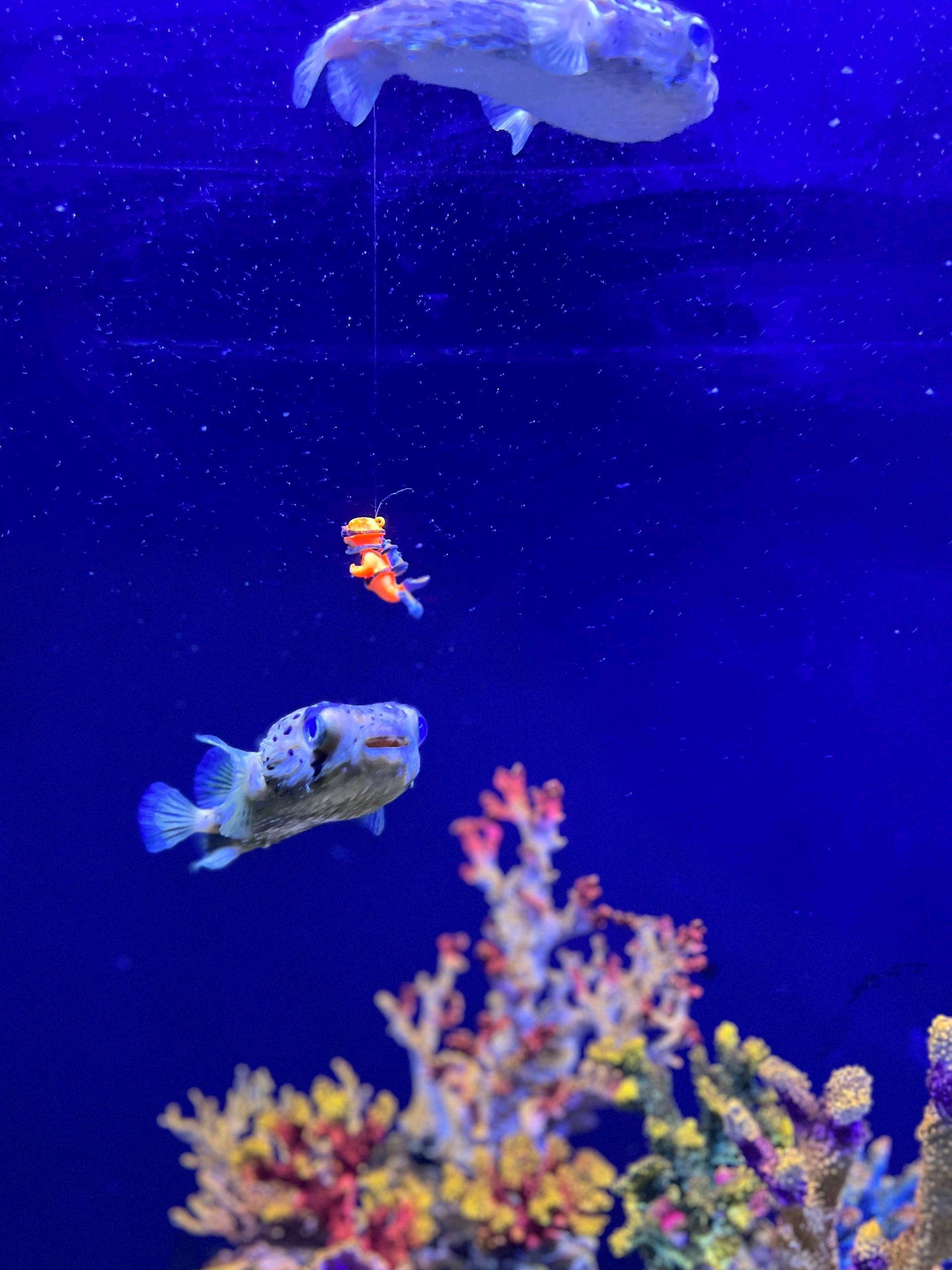 达州海洋馆