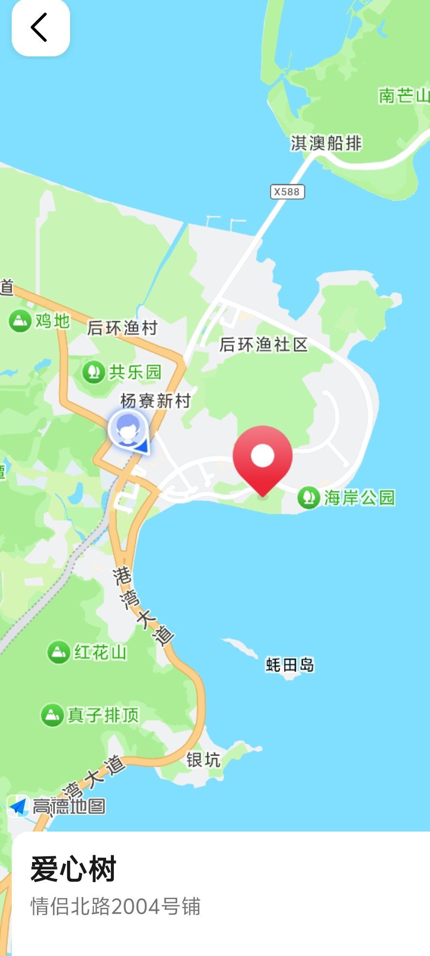 爱心树