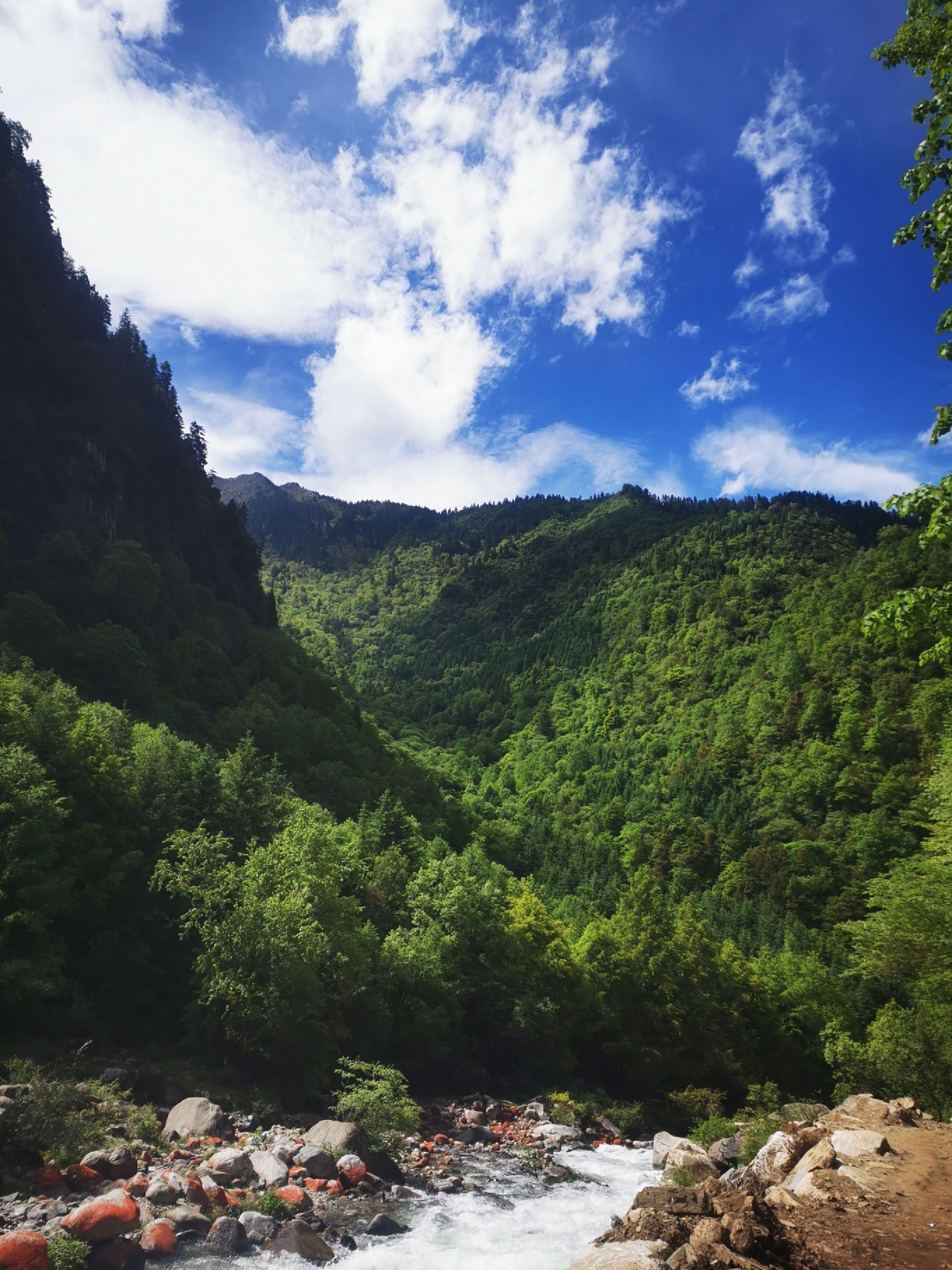 甲尔猛措旅行图片