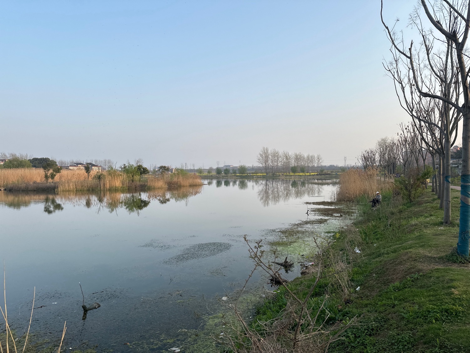 吴郢组大湿地公园