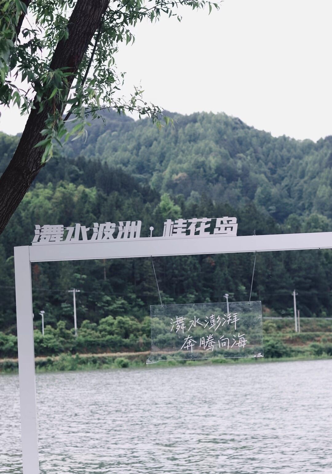 江口村桂花岛