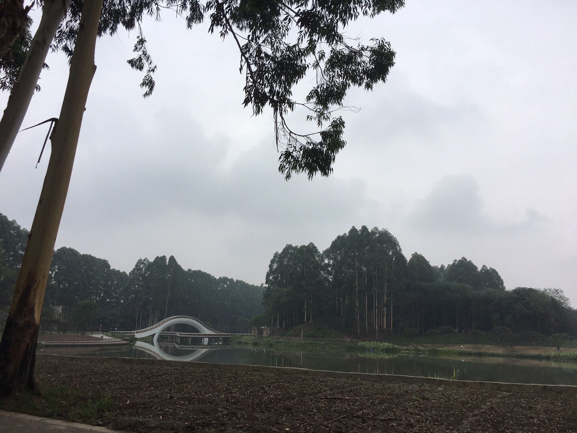 香脂湖公园