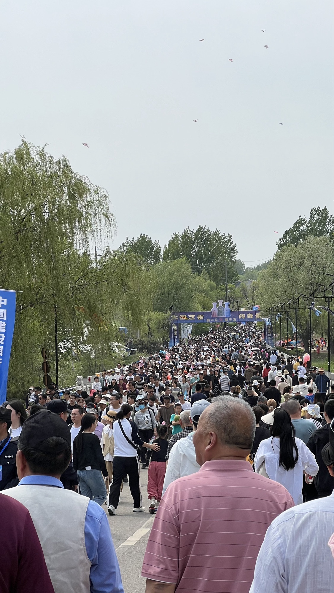世界风筝公园旅行图片