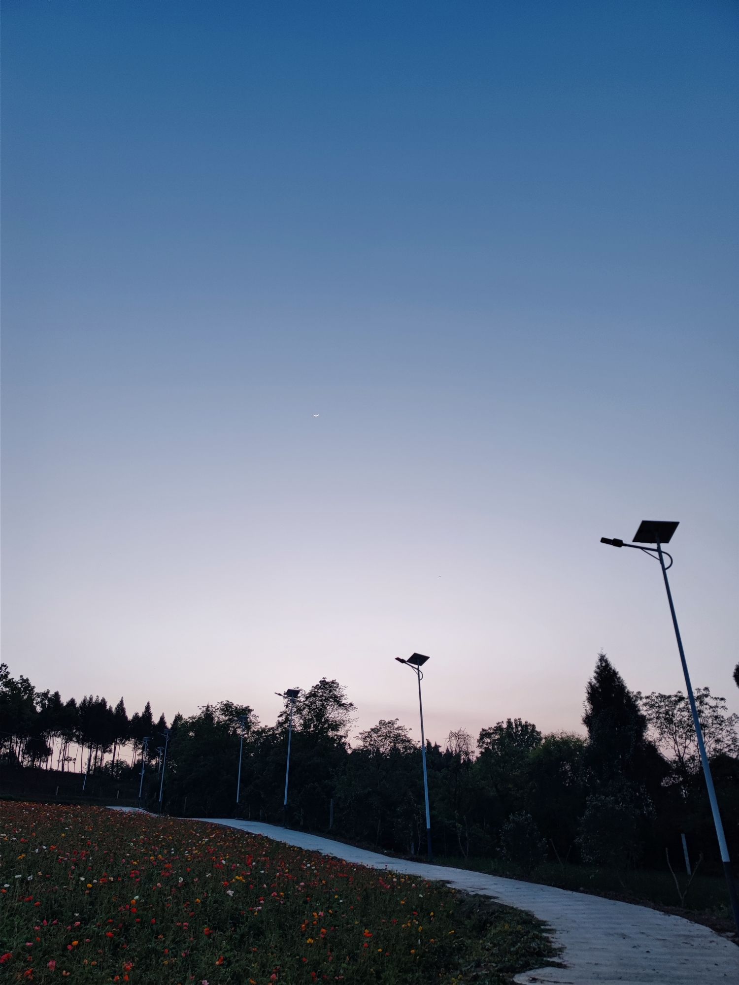 圣谕春天景区旅行图片