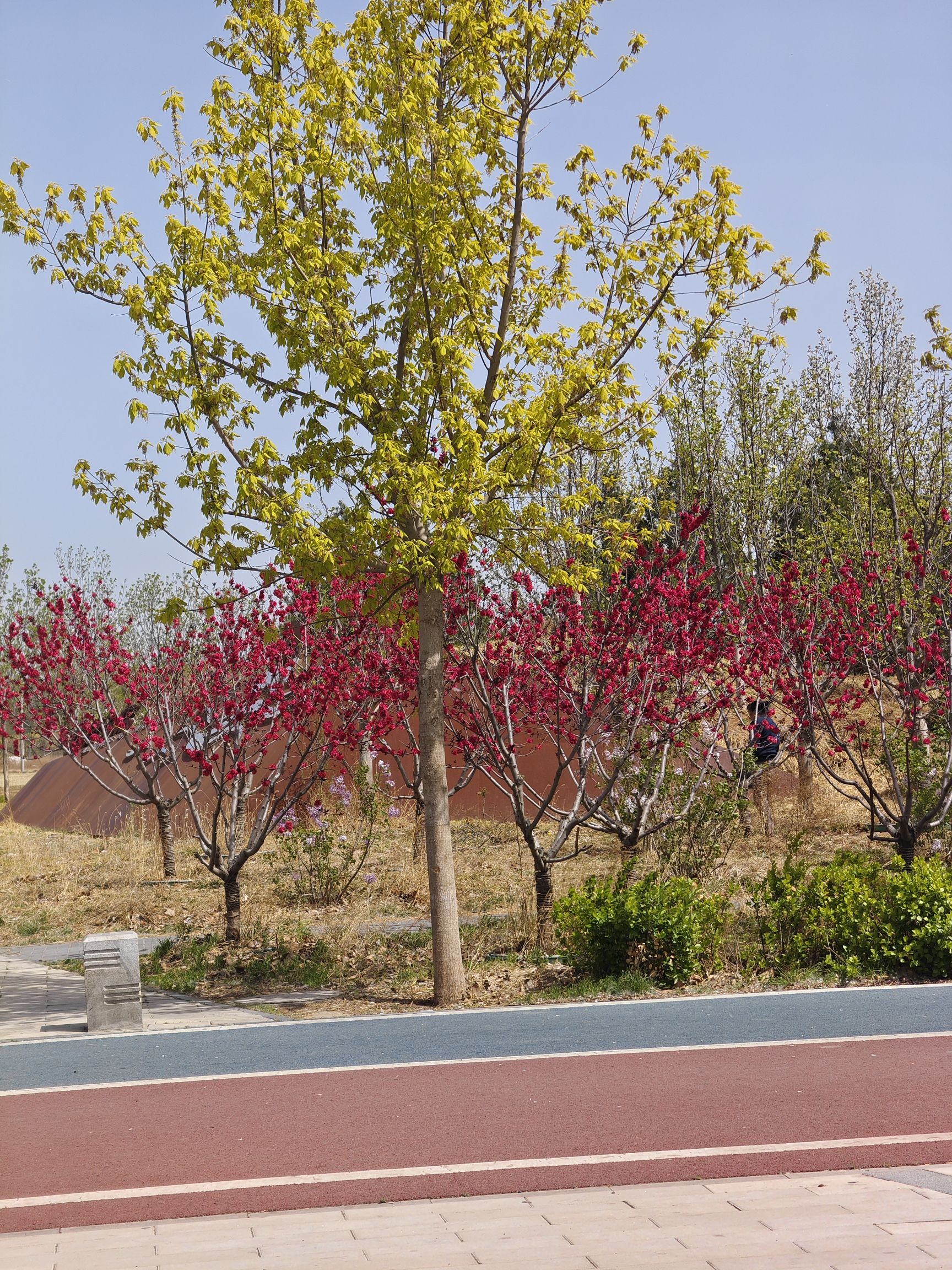 泃河文化长廊旅行图片