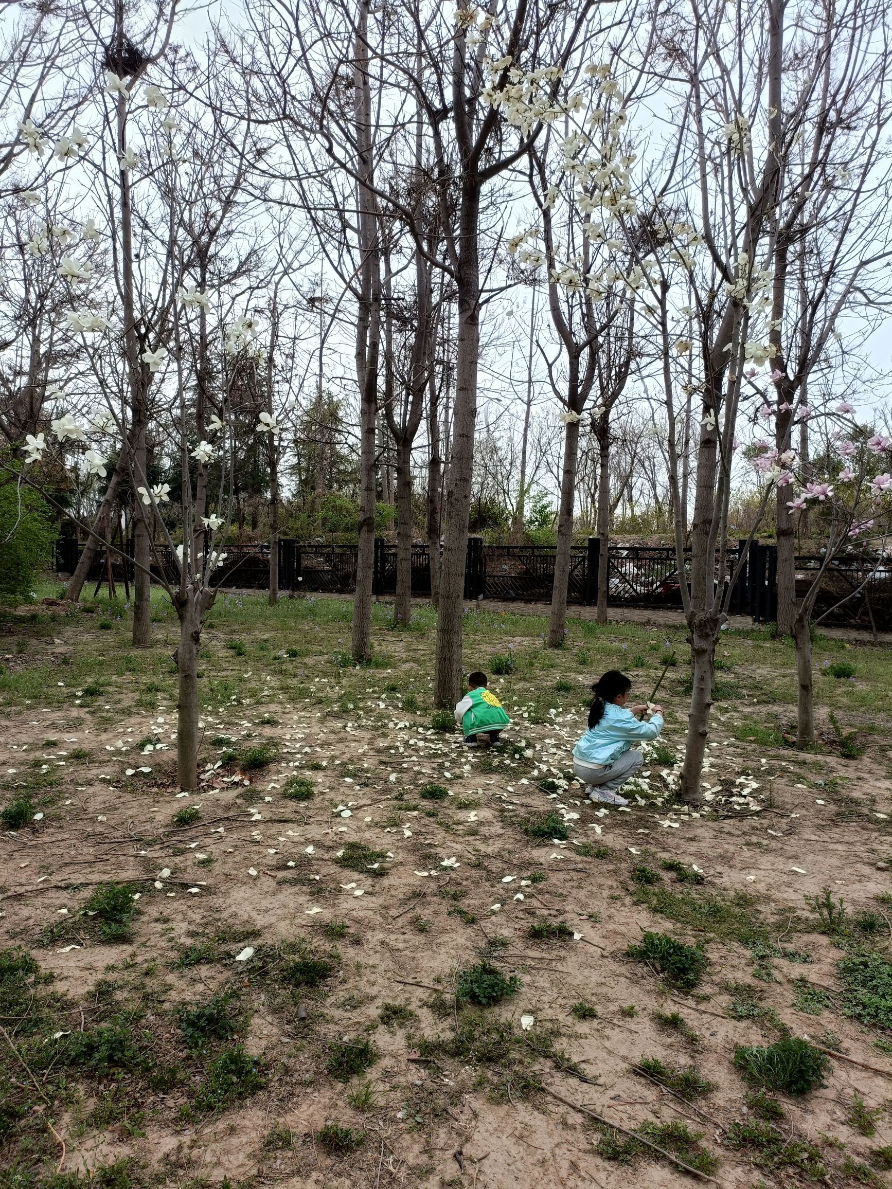 郑州牟山湿地公园