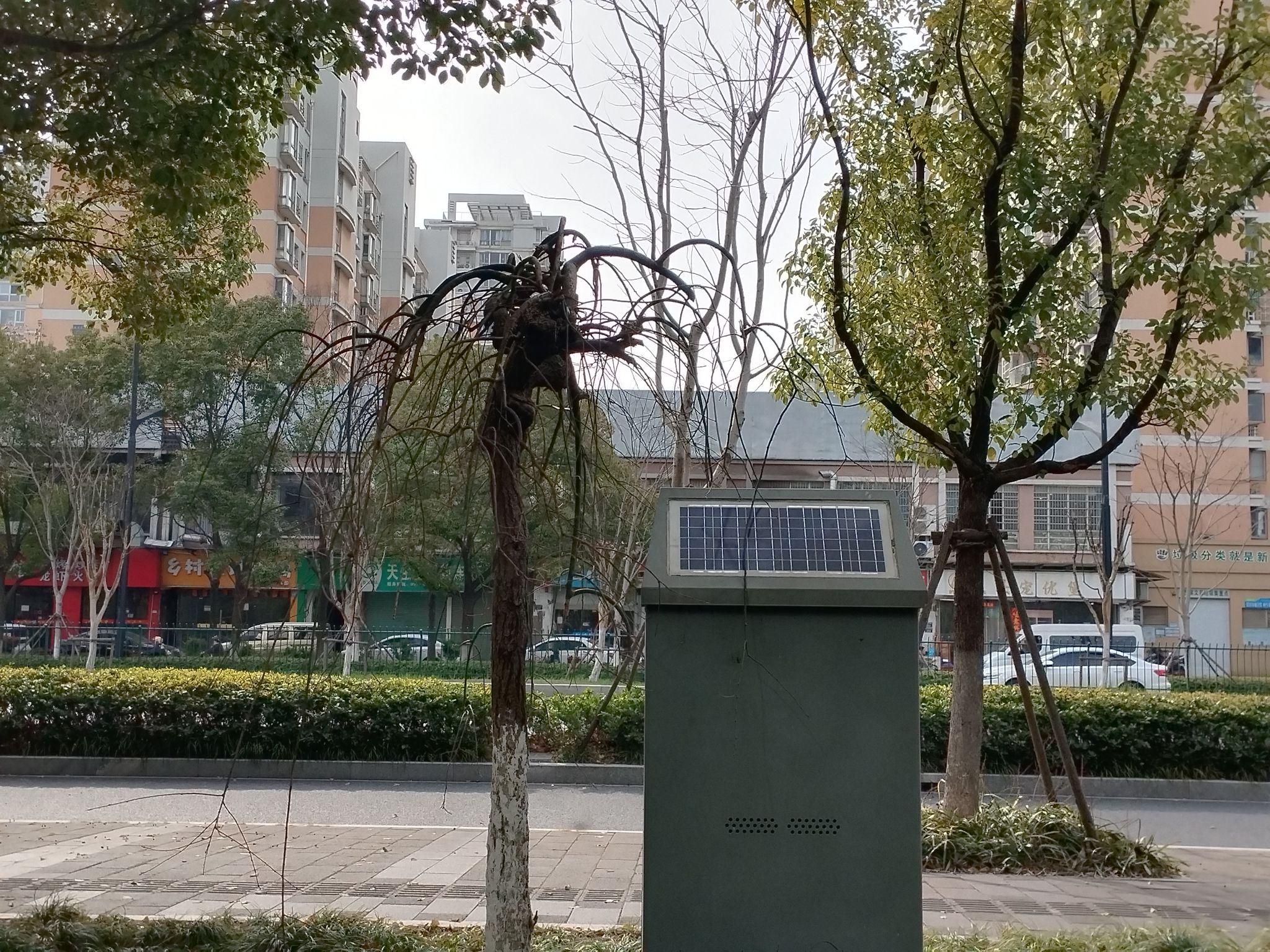 许家河公园