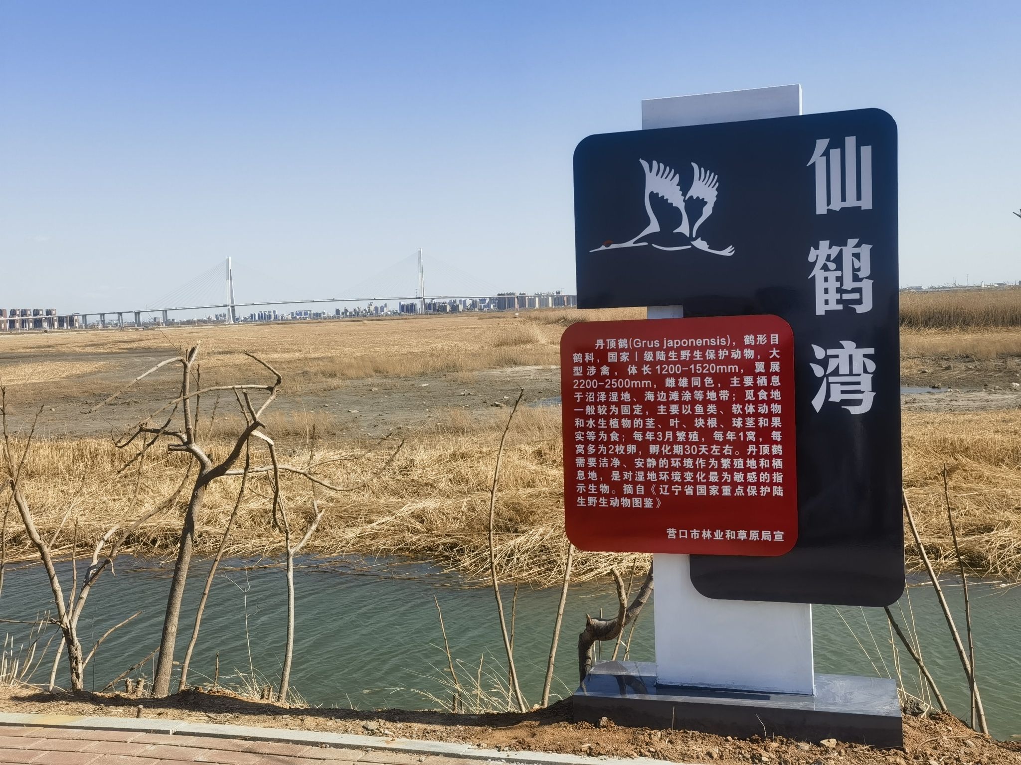 仙鹤湾旅行图片
