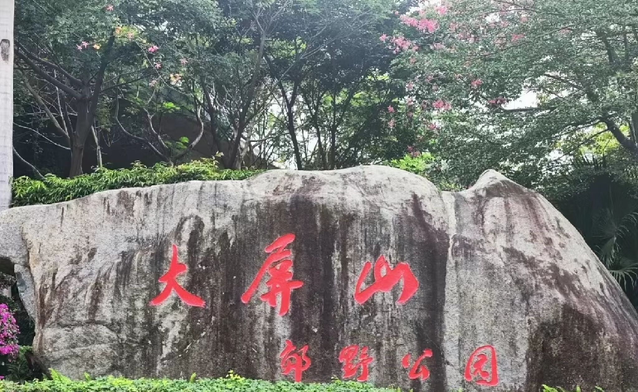 海沧大屏山樱花谷