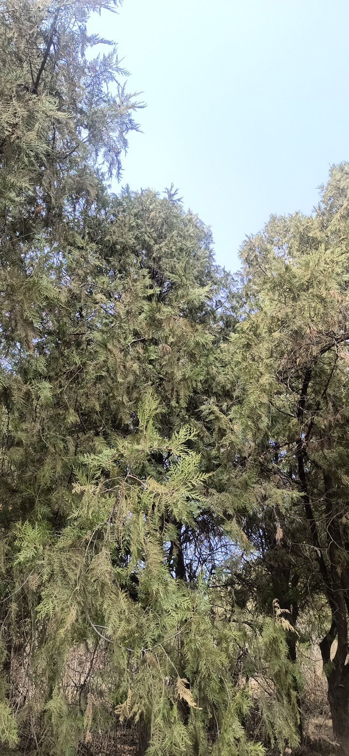 平谷区桃花海主景区