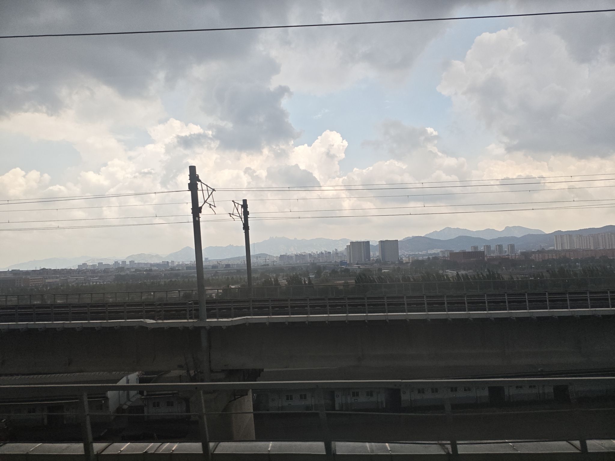 孤独的树