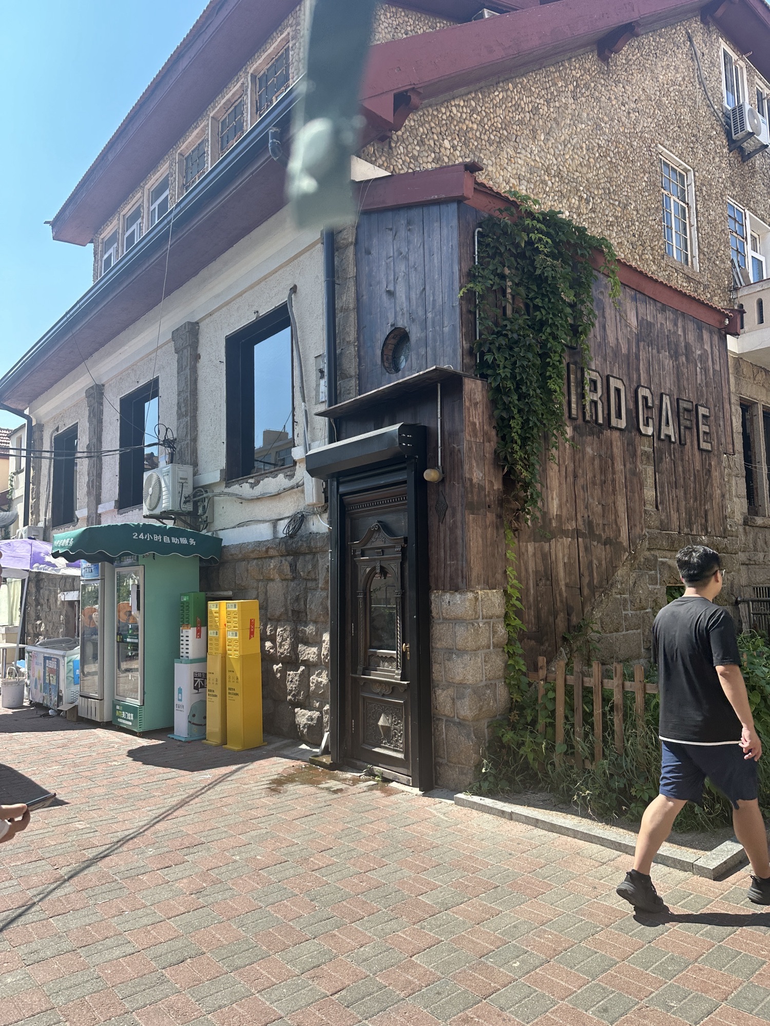 孤独的树旅行图片