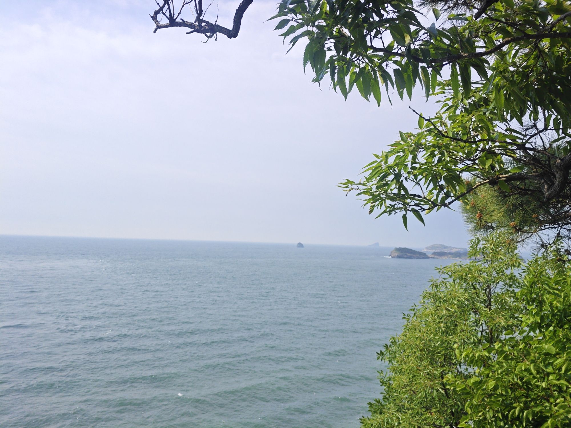 亲海栈道