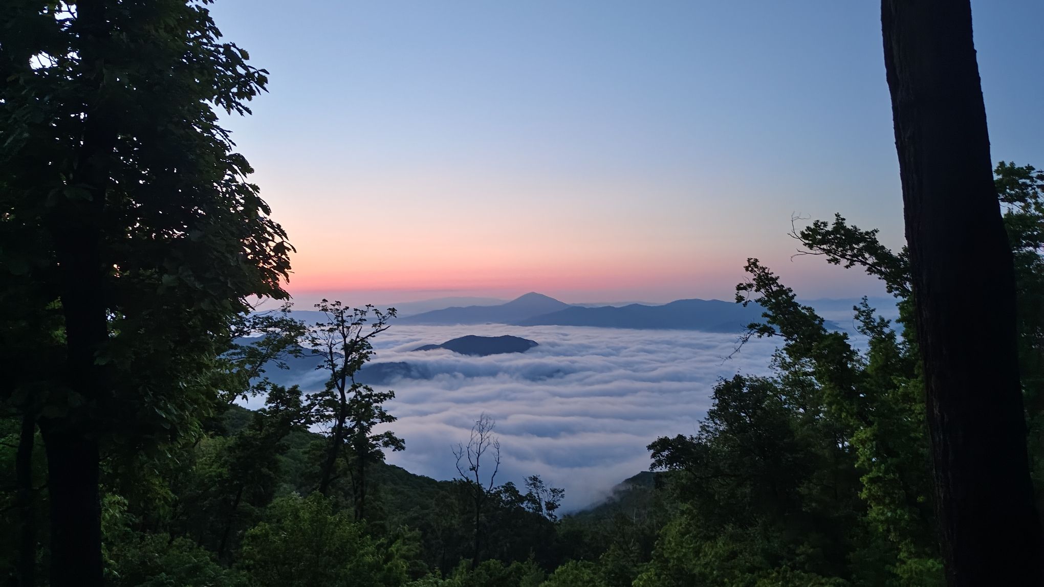 朱雀云顶