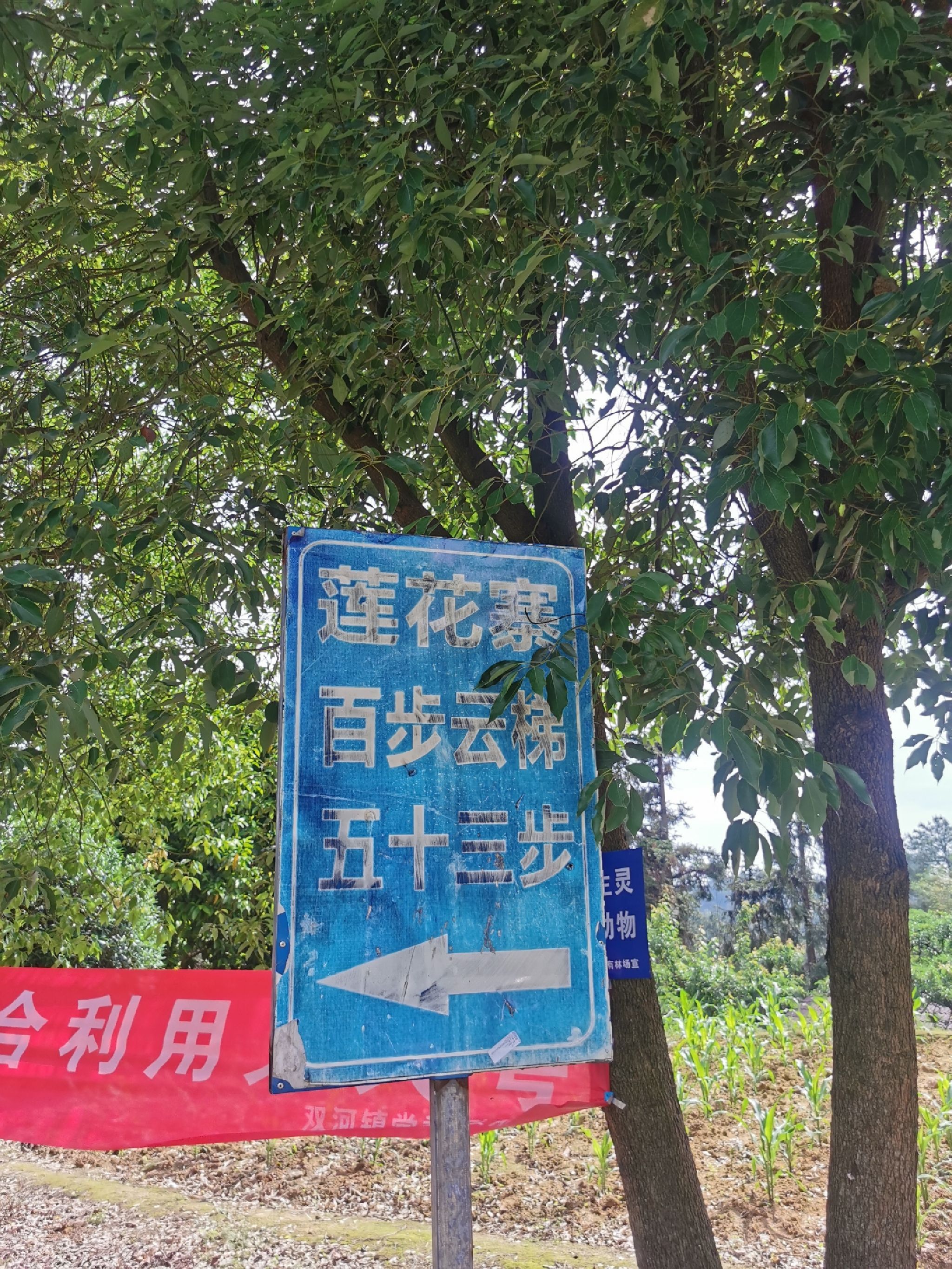 五十三梯