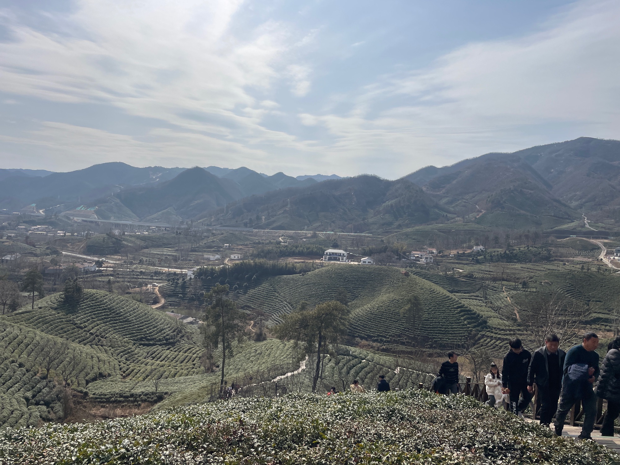 清风茶山风景区