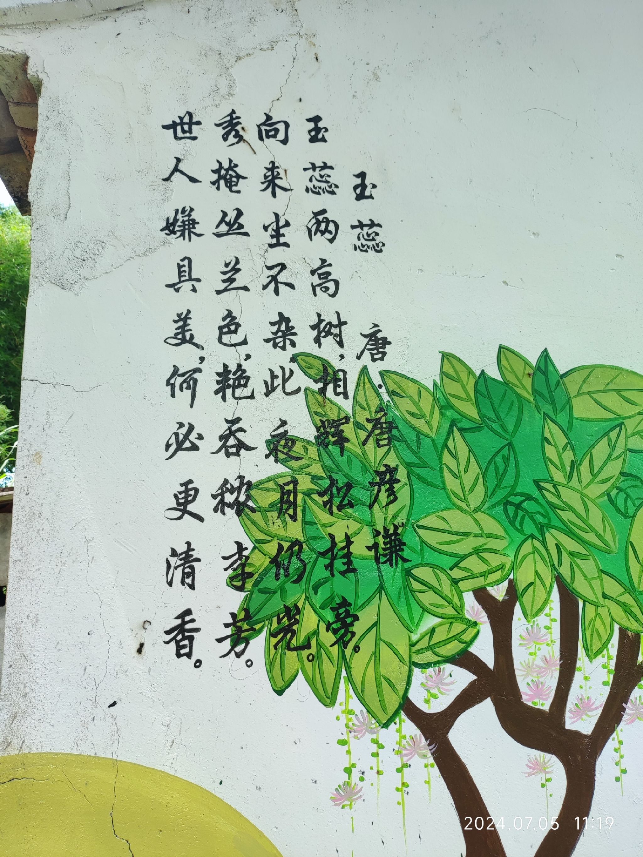 官田玉蕊红树林