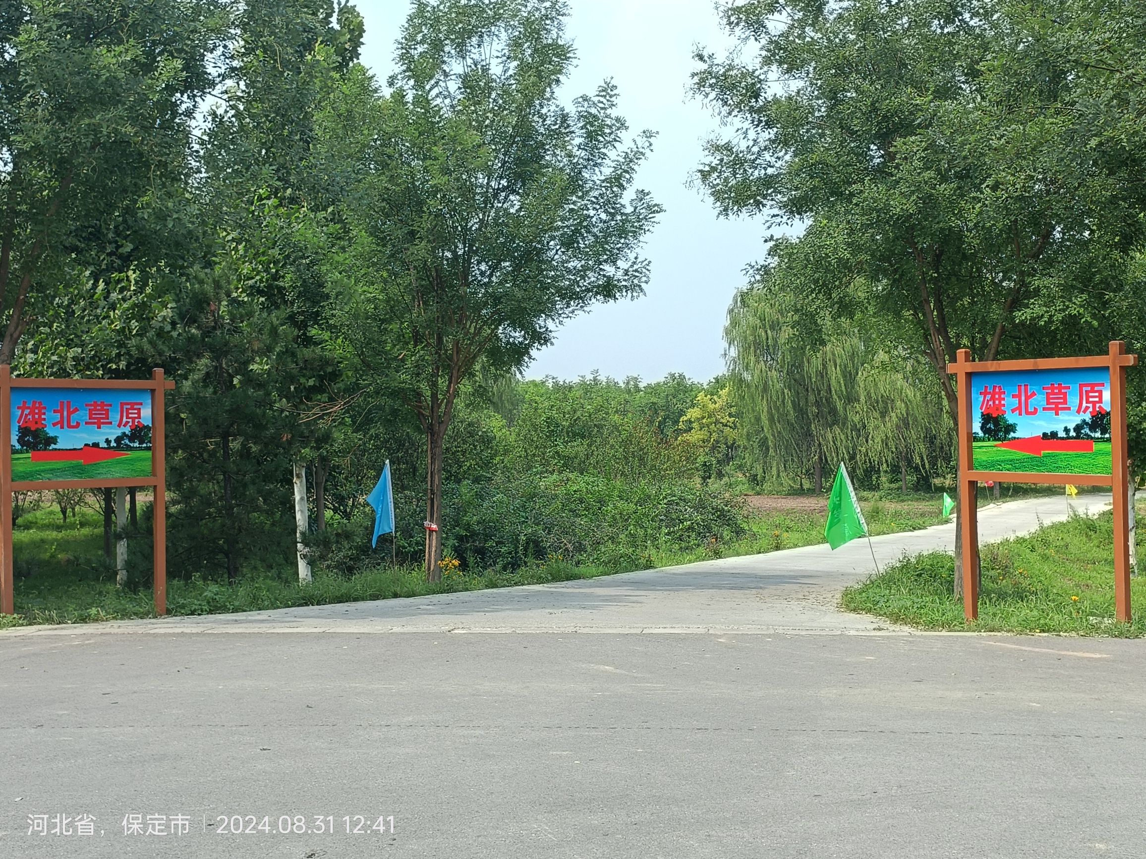 雄北草原旅行图片