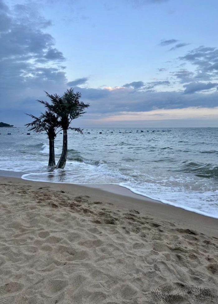 北戴河海滩旅行图片