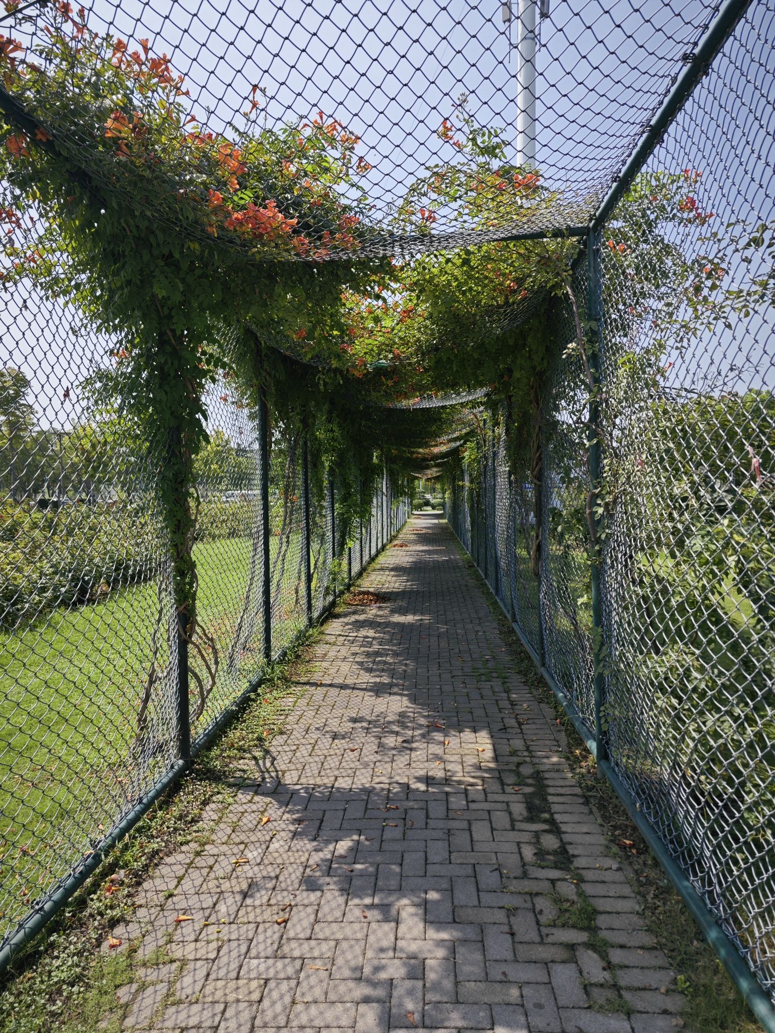 整形植物园
