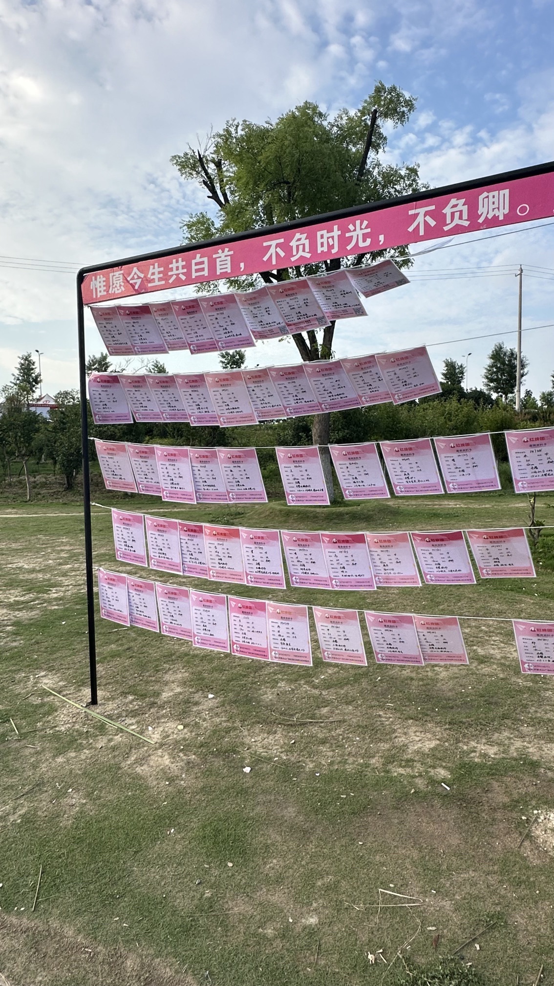 滨河公园公益相亲角