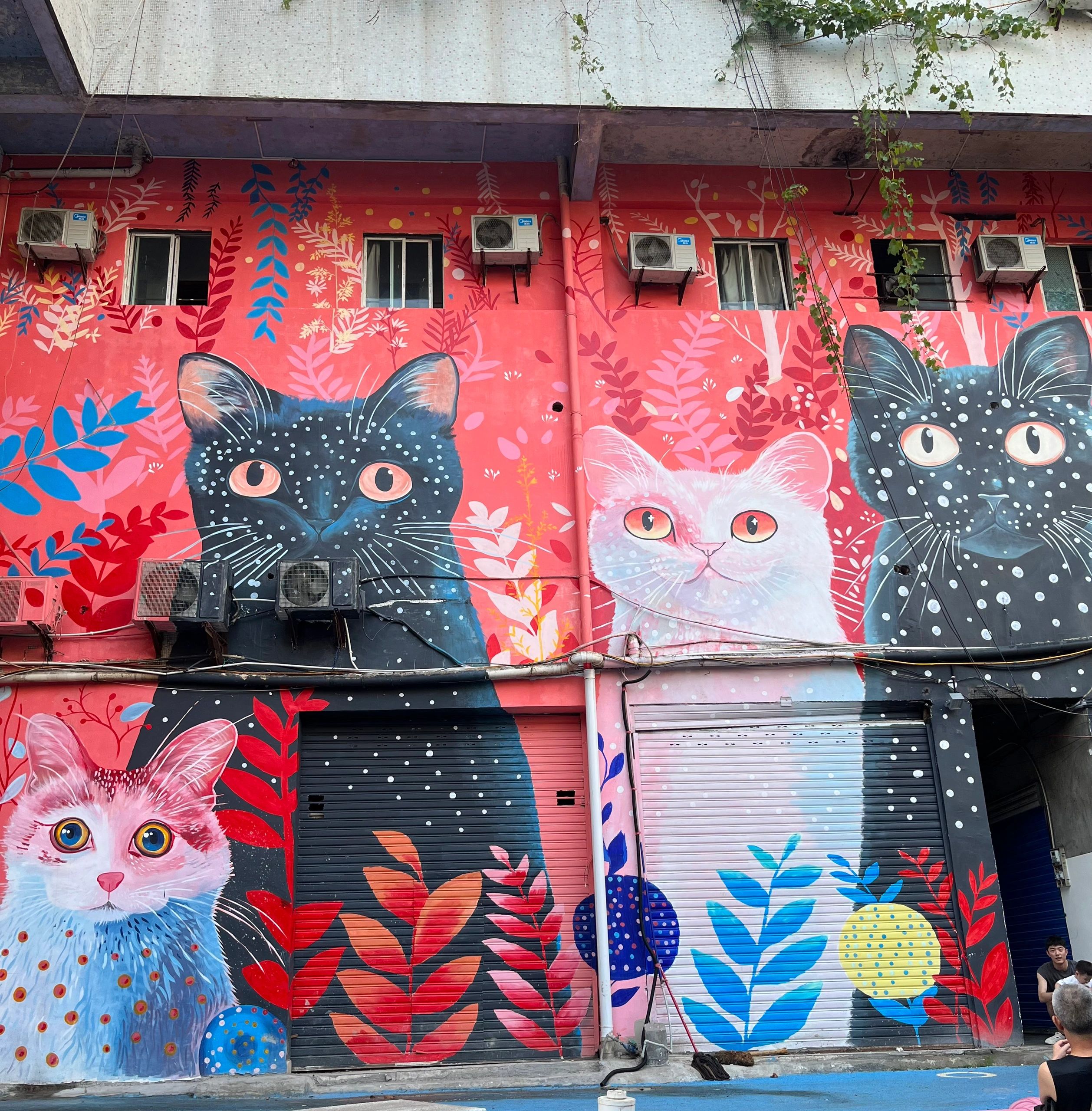 自贡涂鸦街猫猫巷