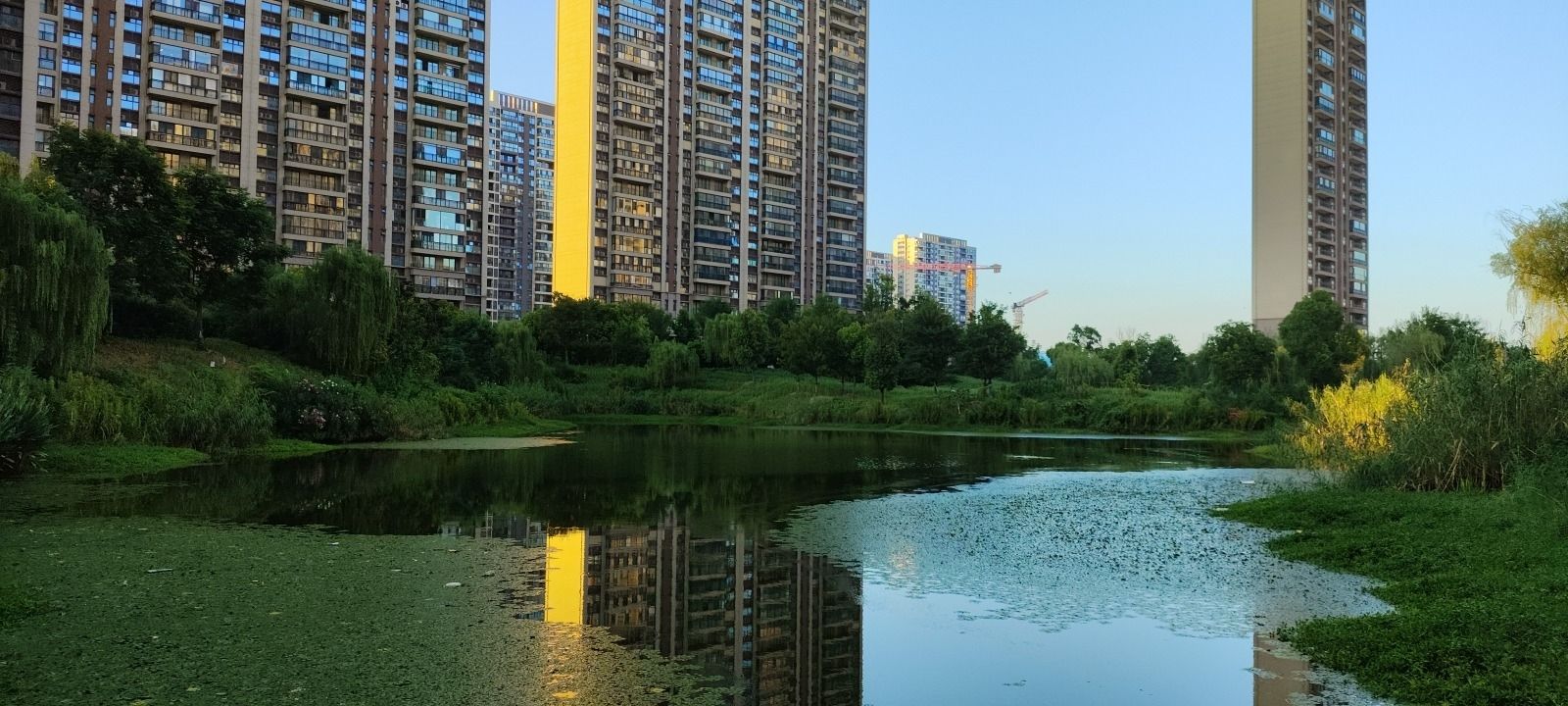 云玺苑湖湿地