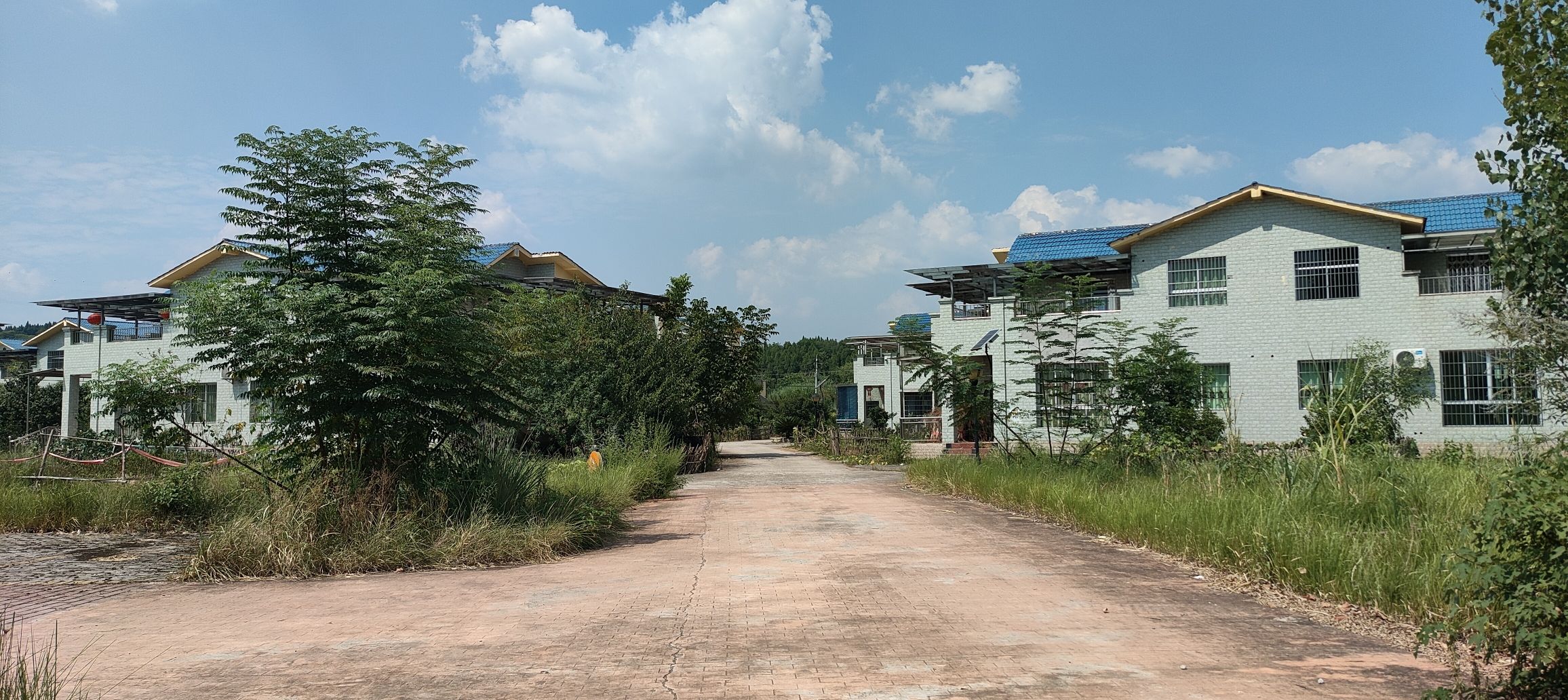 醉美橙香景区