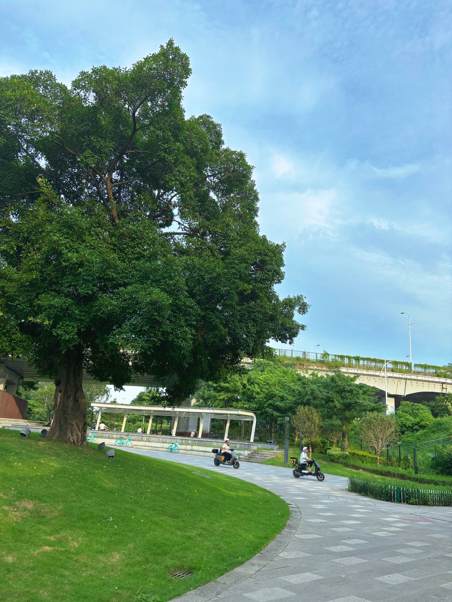 岑村立交小公园