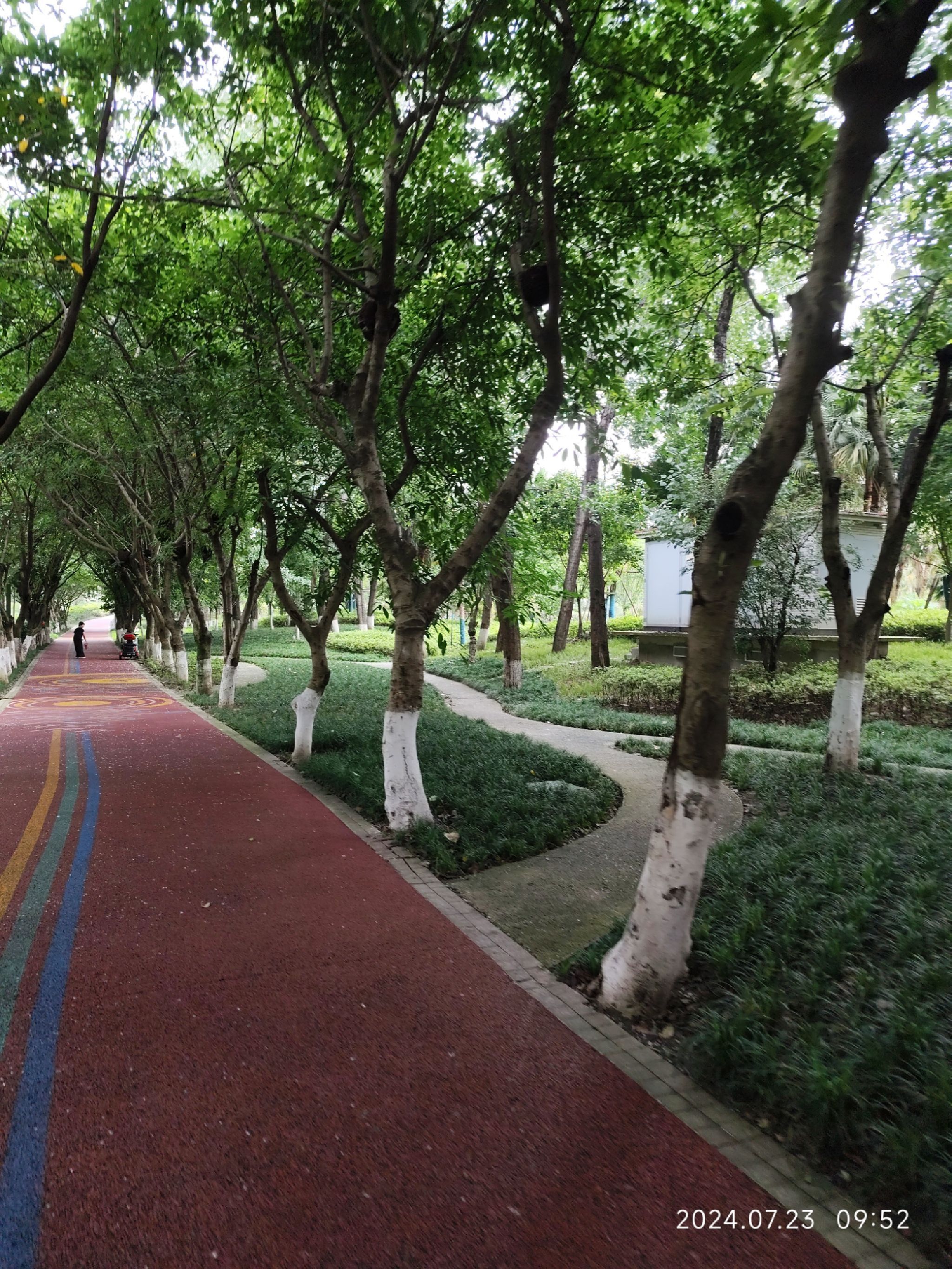 锦江公园·亲水园旅行图片
