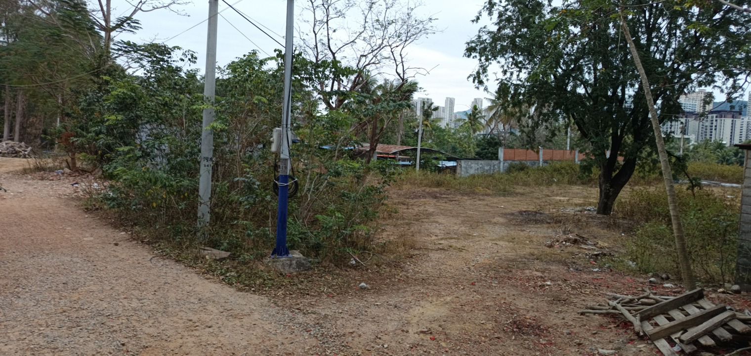 响土村野生葫芦娃栖息地