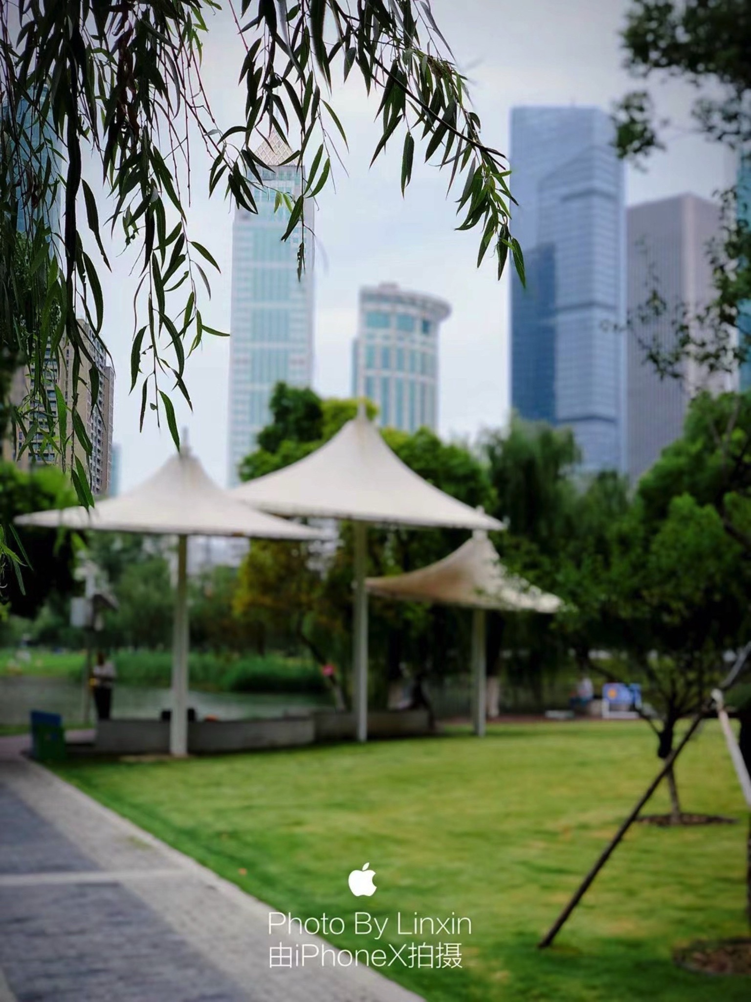 西北湖公园旅行图片