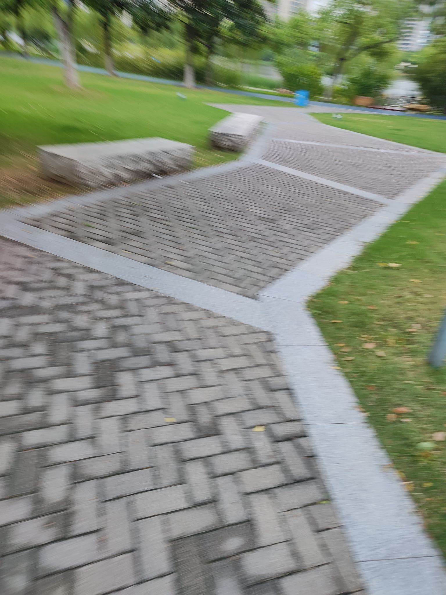 西北湖公园旅行图片