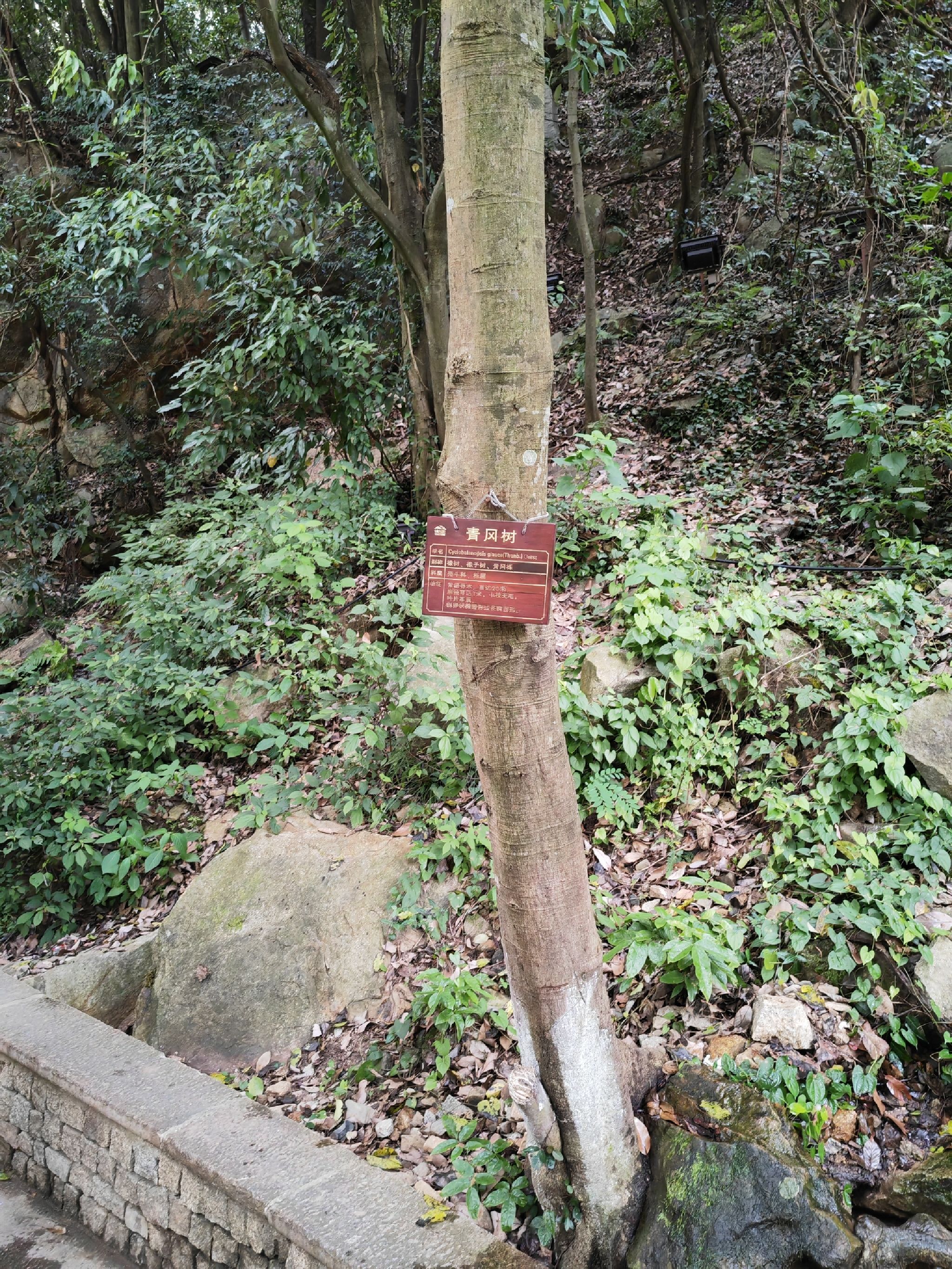 怪石滩