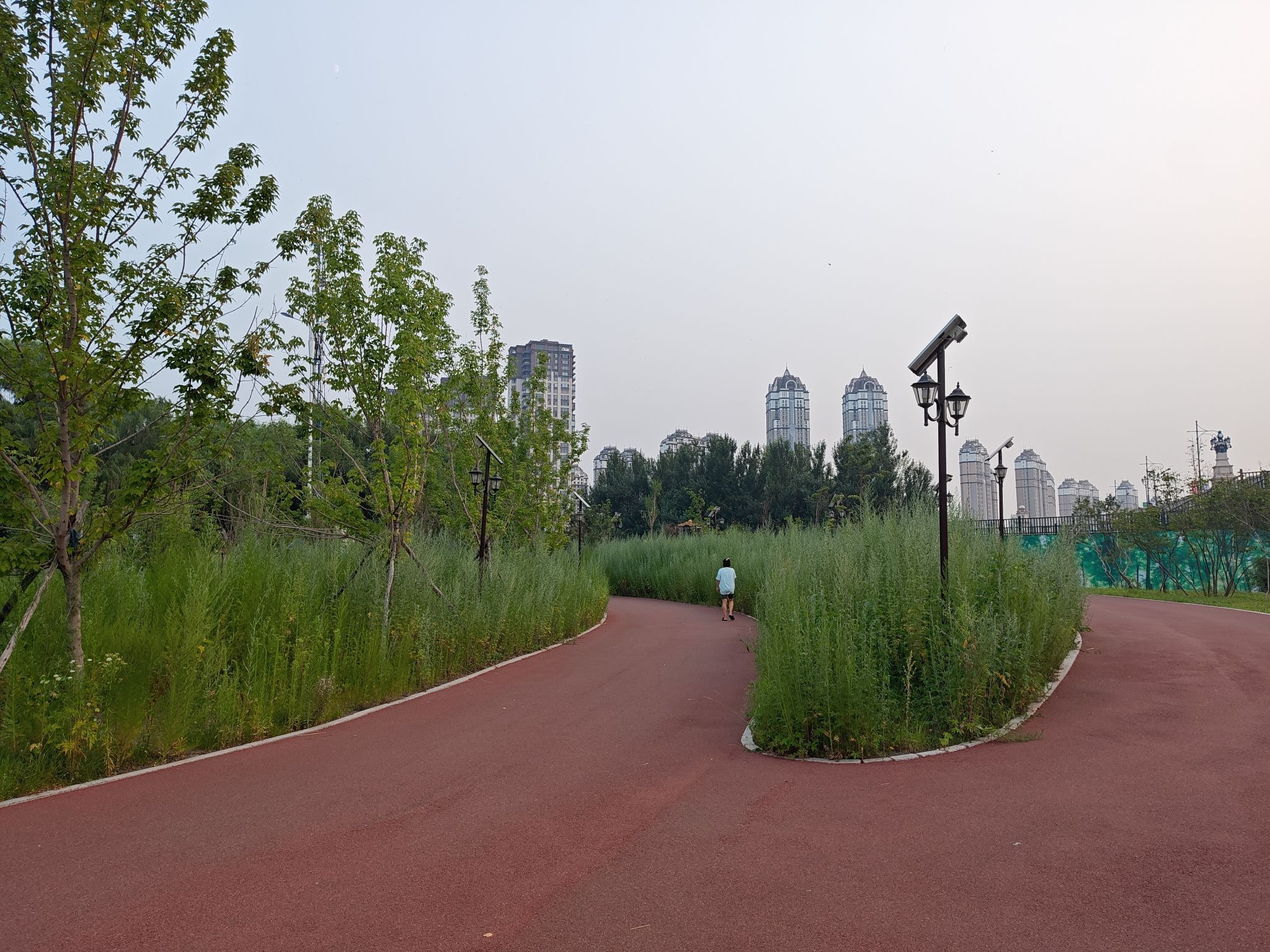 河口公园旅行图片