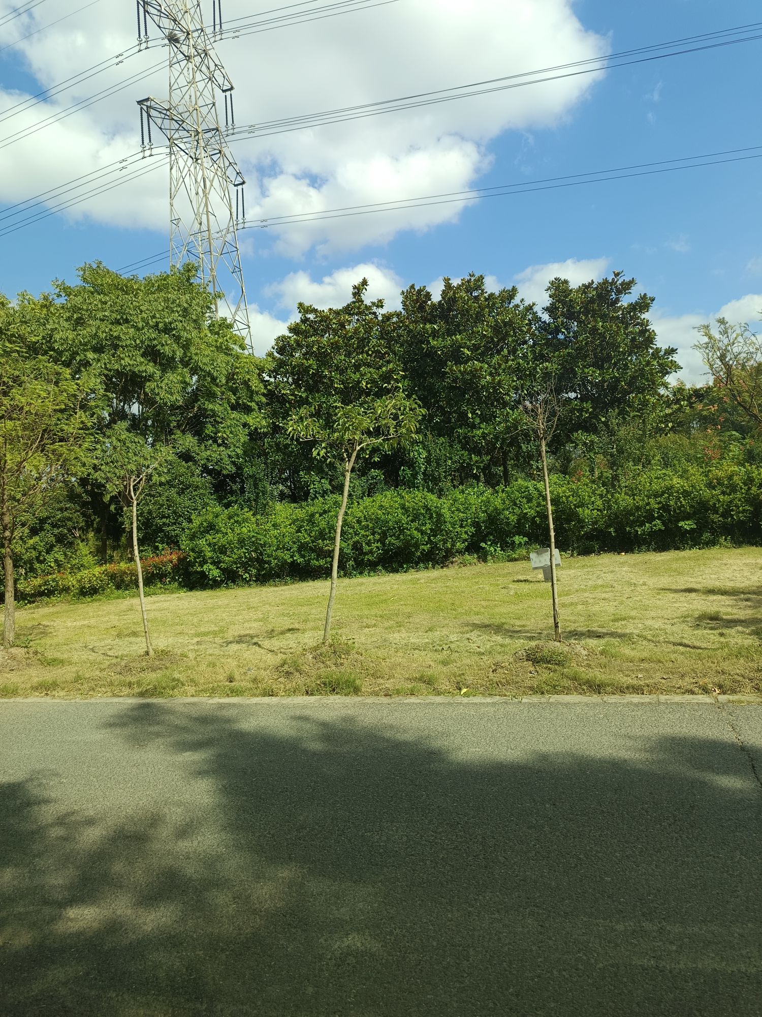 坚强郊野森林公园
