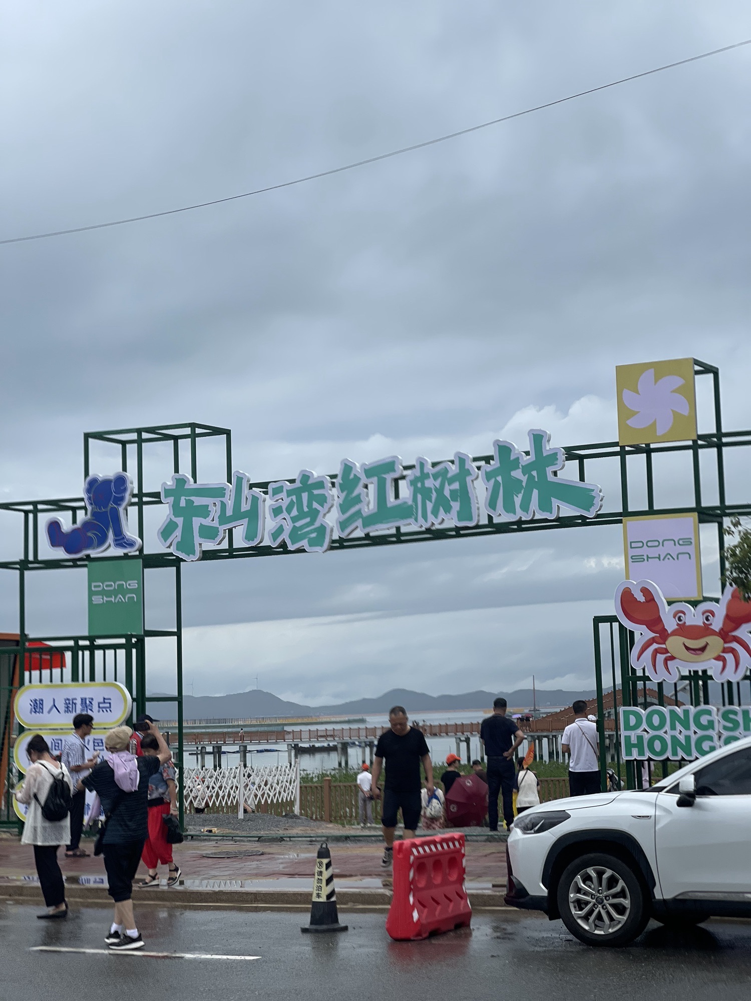 东山湾红树林