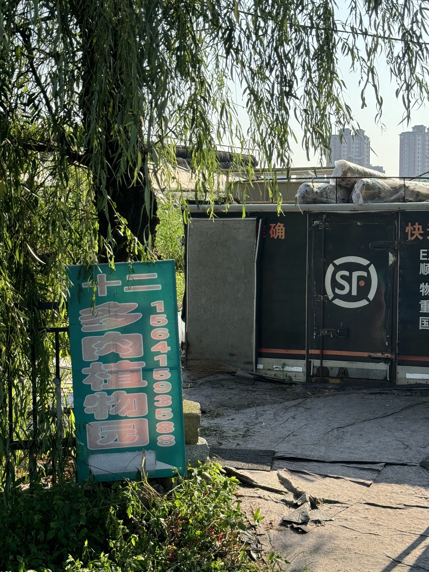 十二多肉植物园