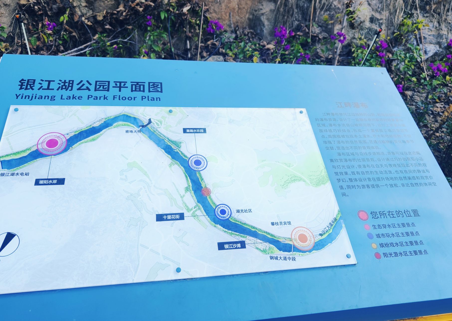 银江湖公园旅行图片