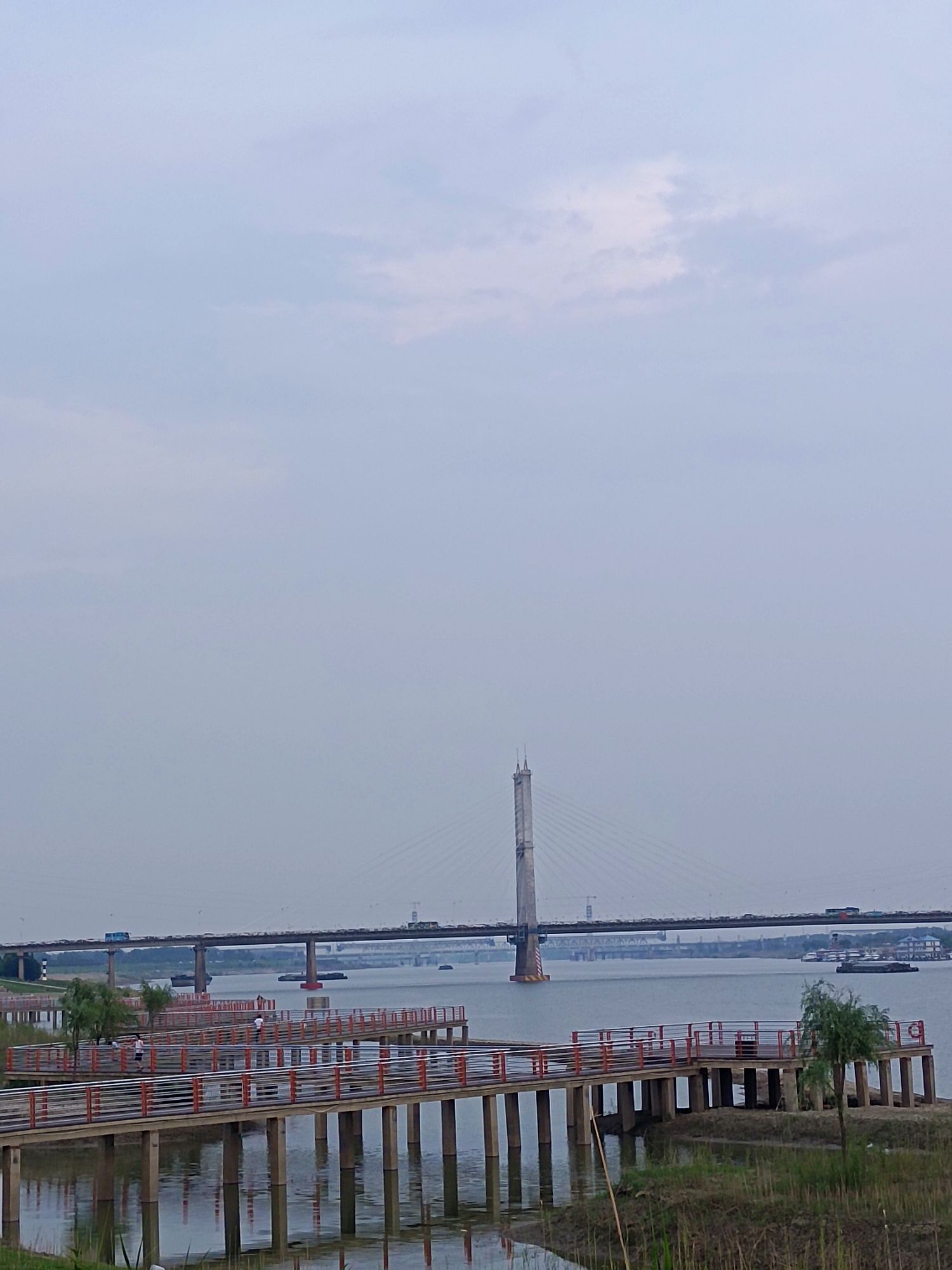 独树岛沙滩公园