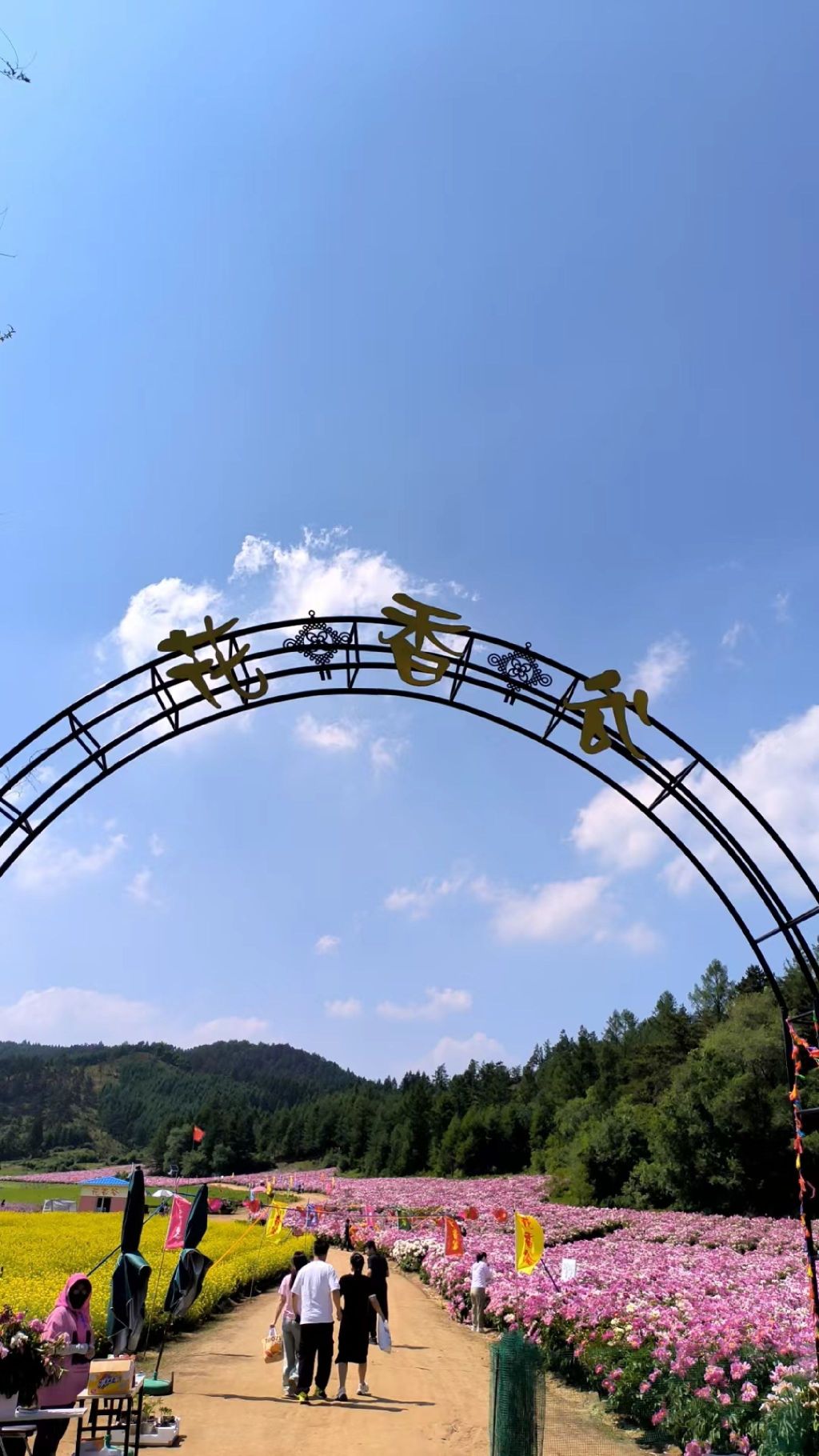 花香谷旅行图片