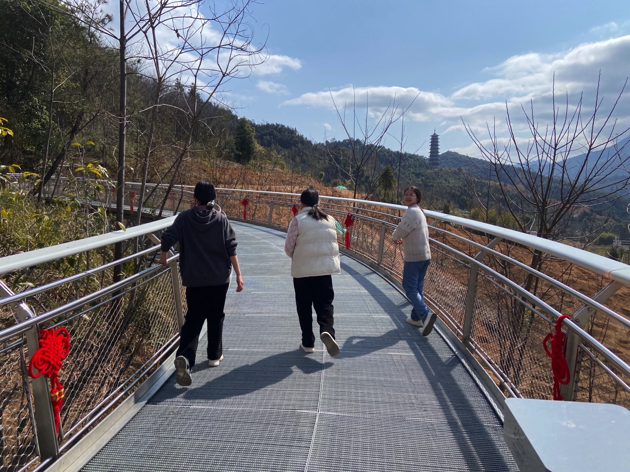 城市森林空间旅行图片