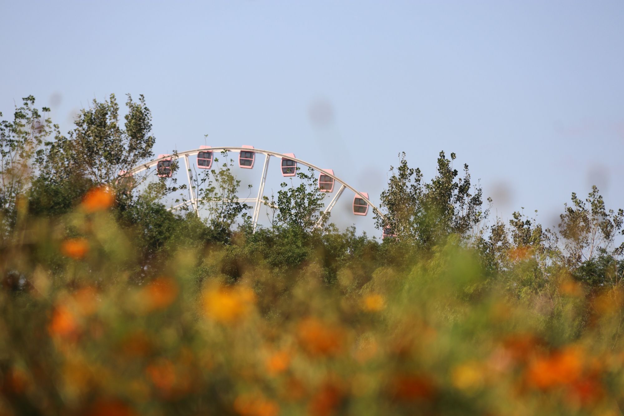 沈杨公园旅行图片