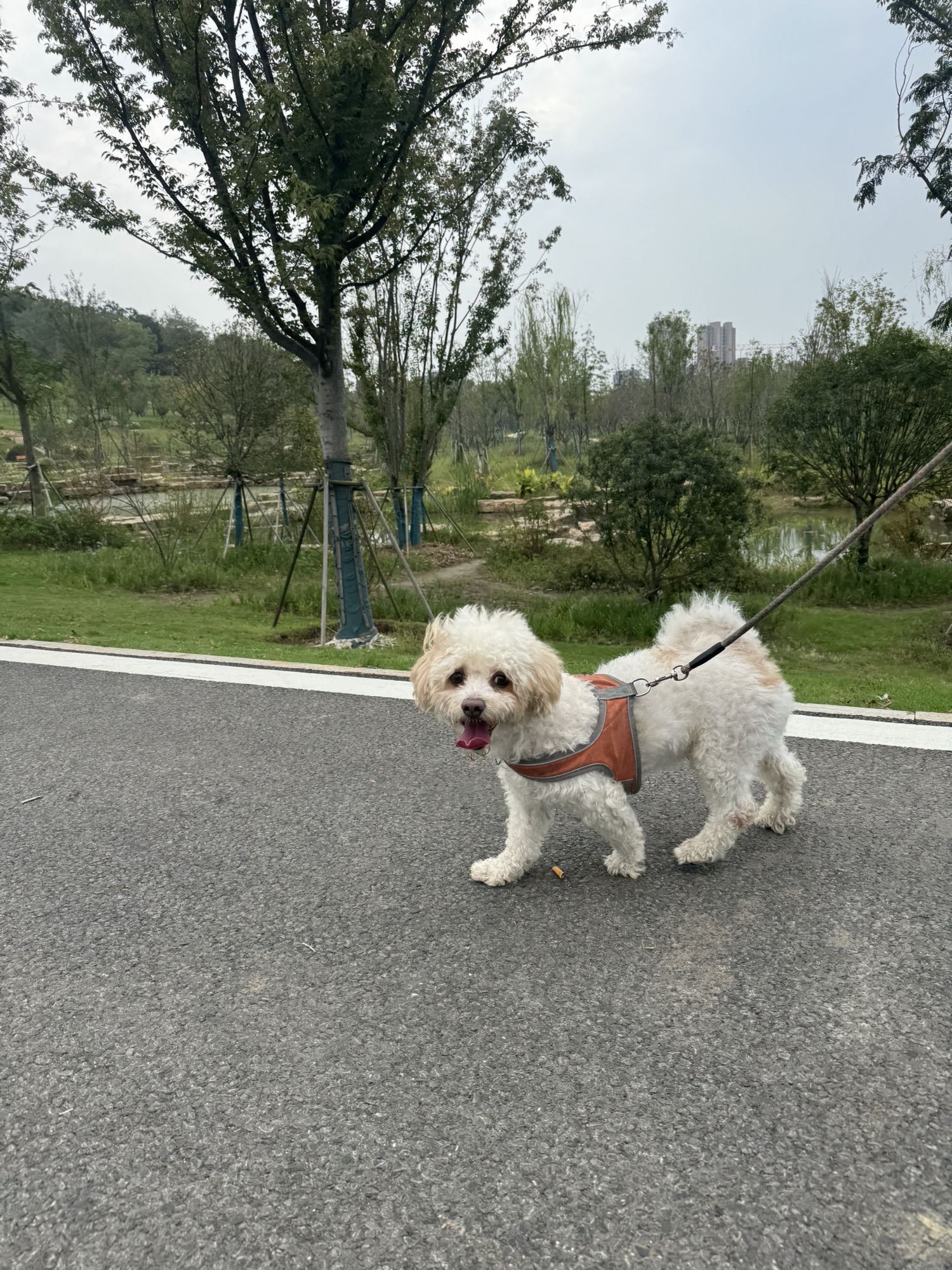 梅山公园