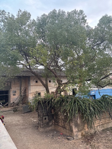 文明第