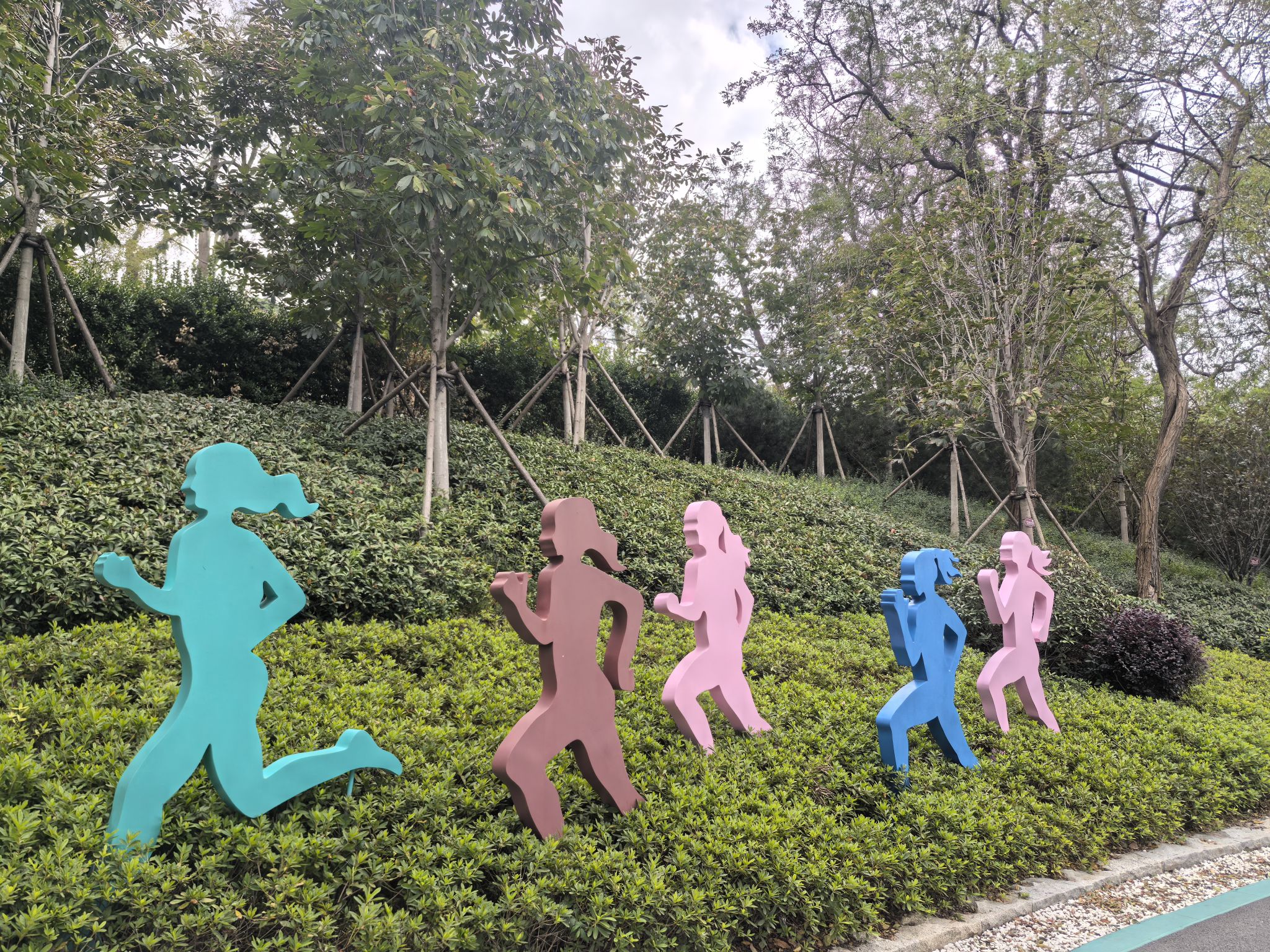 榉林公园旅行图片